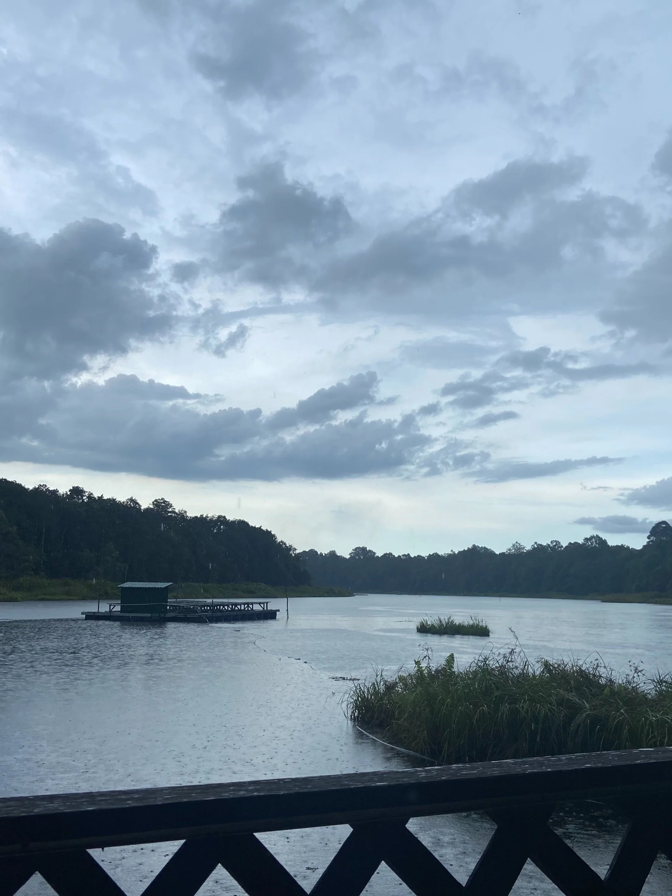 view of the lake from the eco camp