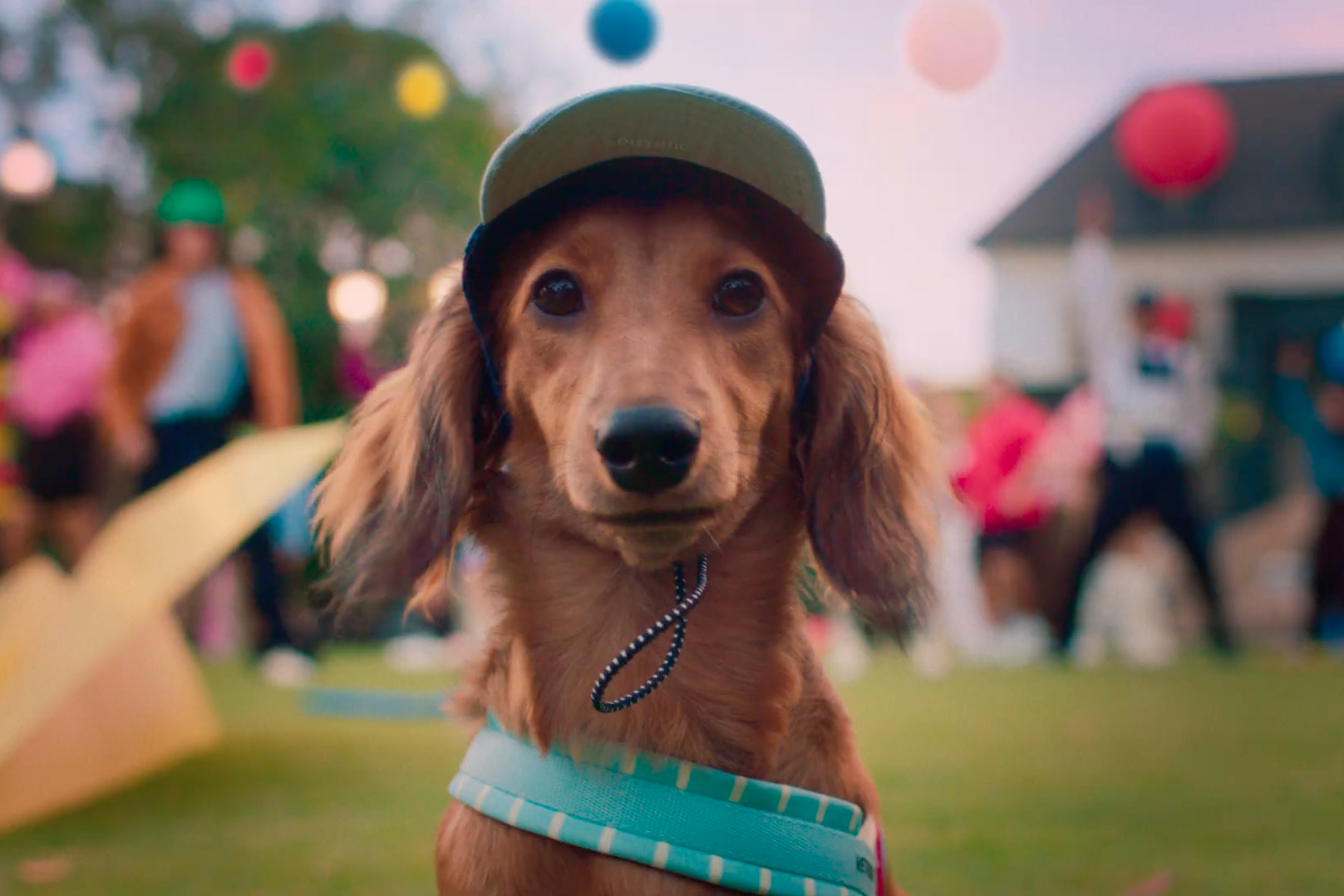 Screenshot 2026-03-06 at 14.45.02.png