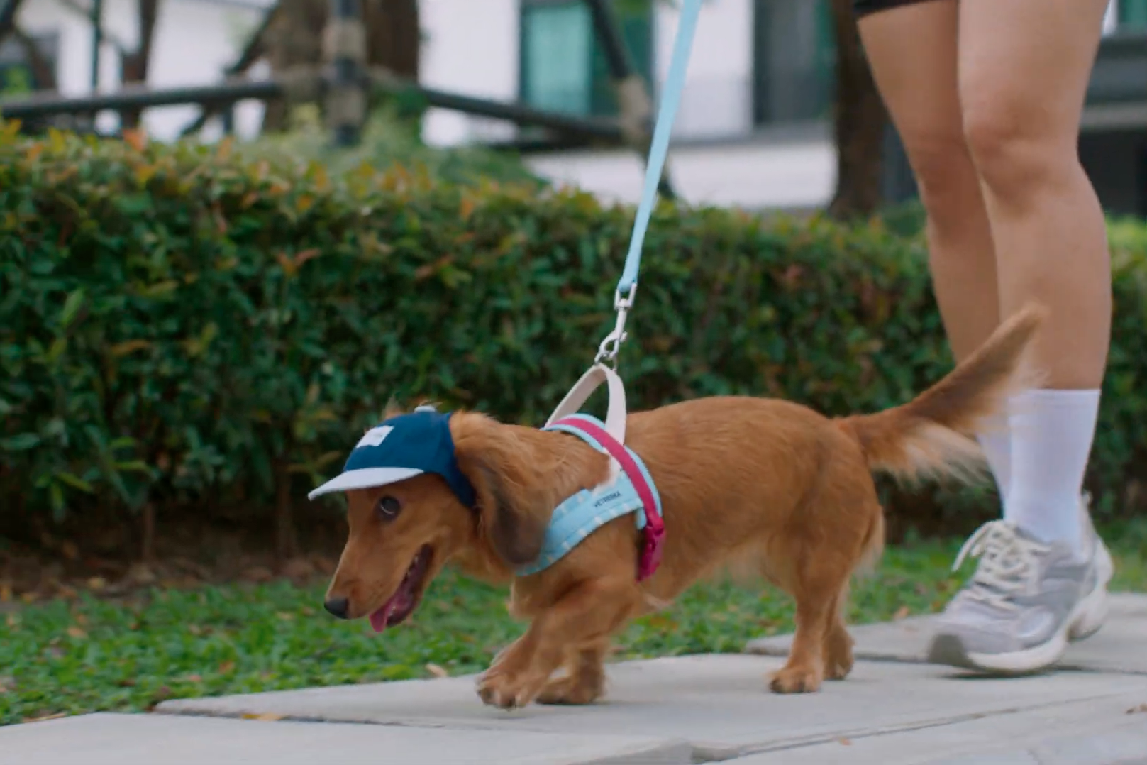 Screenshot 2026-03-06 at 14.38.31.png