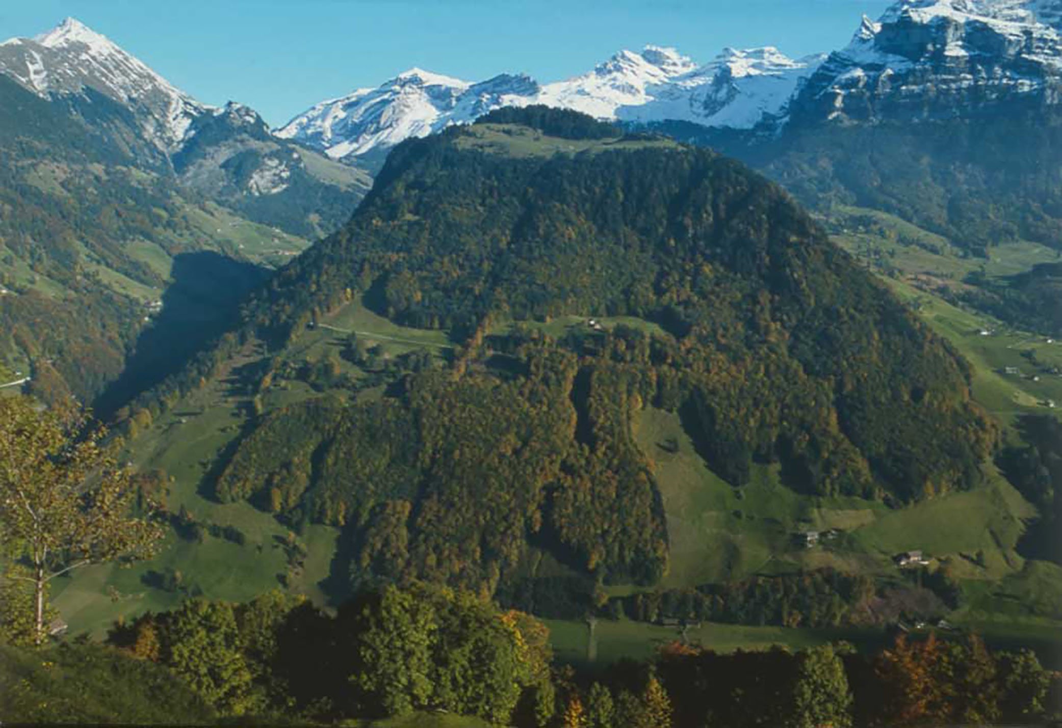 DER GRÜNE BERG