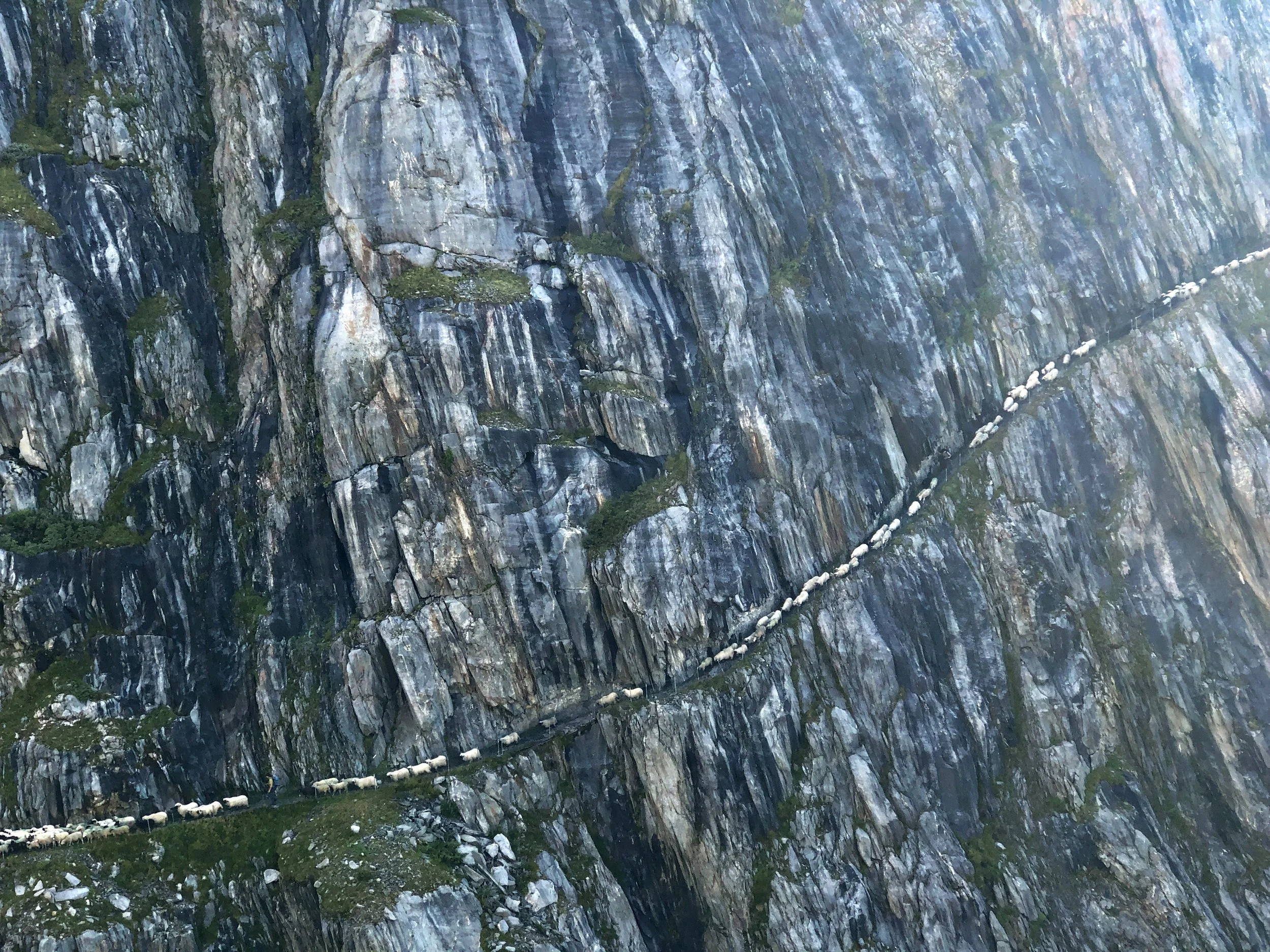WENN DIE GLETSCHER NICHT WIEDERKÄMEN