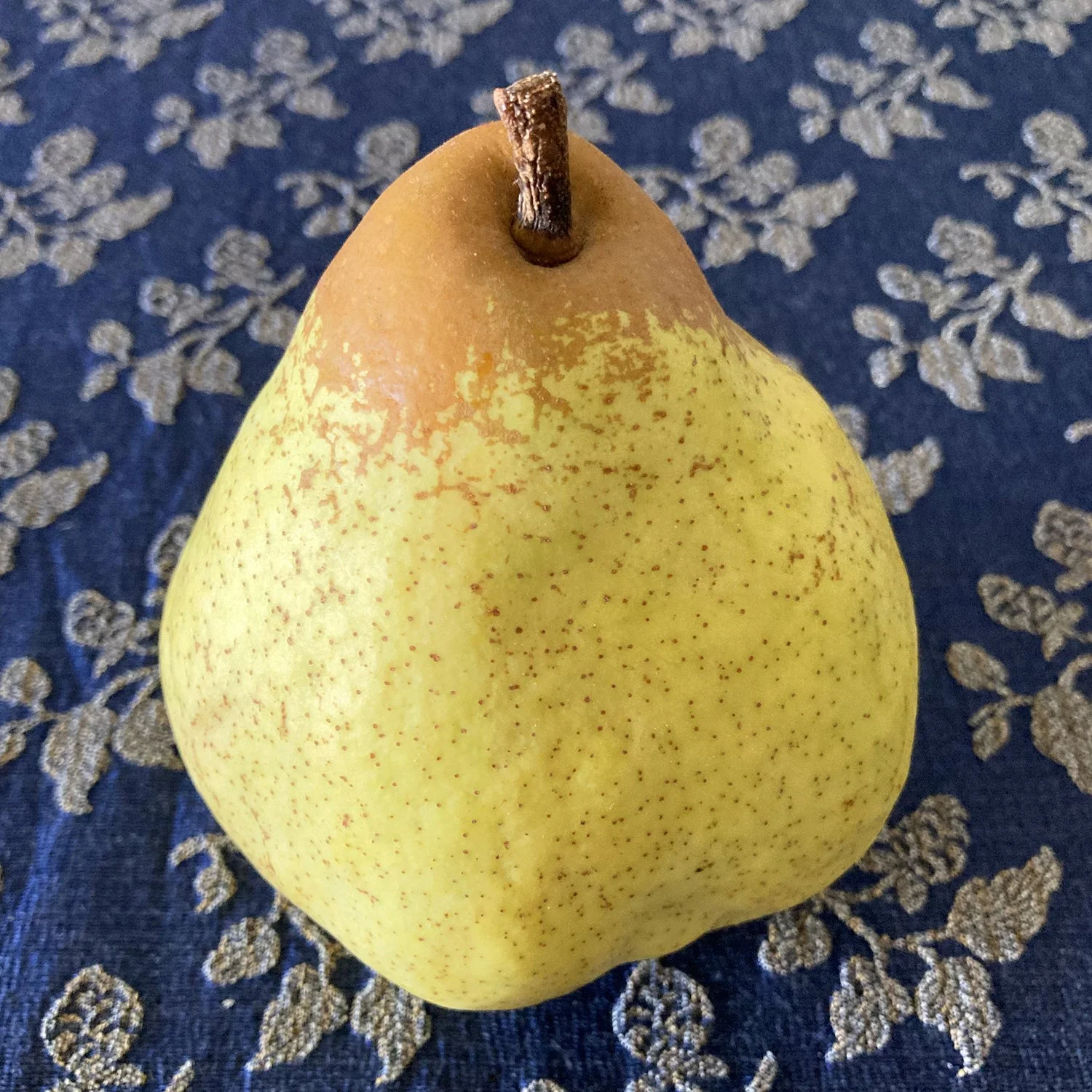 Pera Rocha — Gastronautas