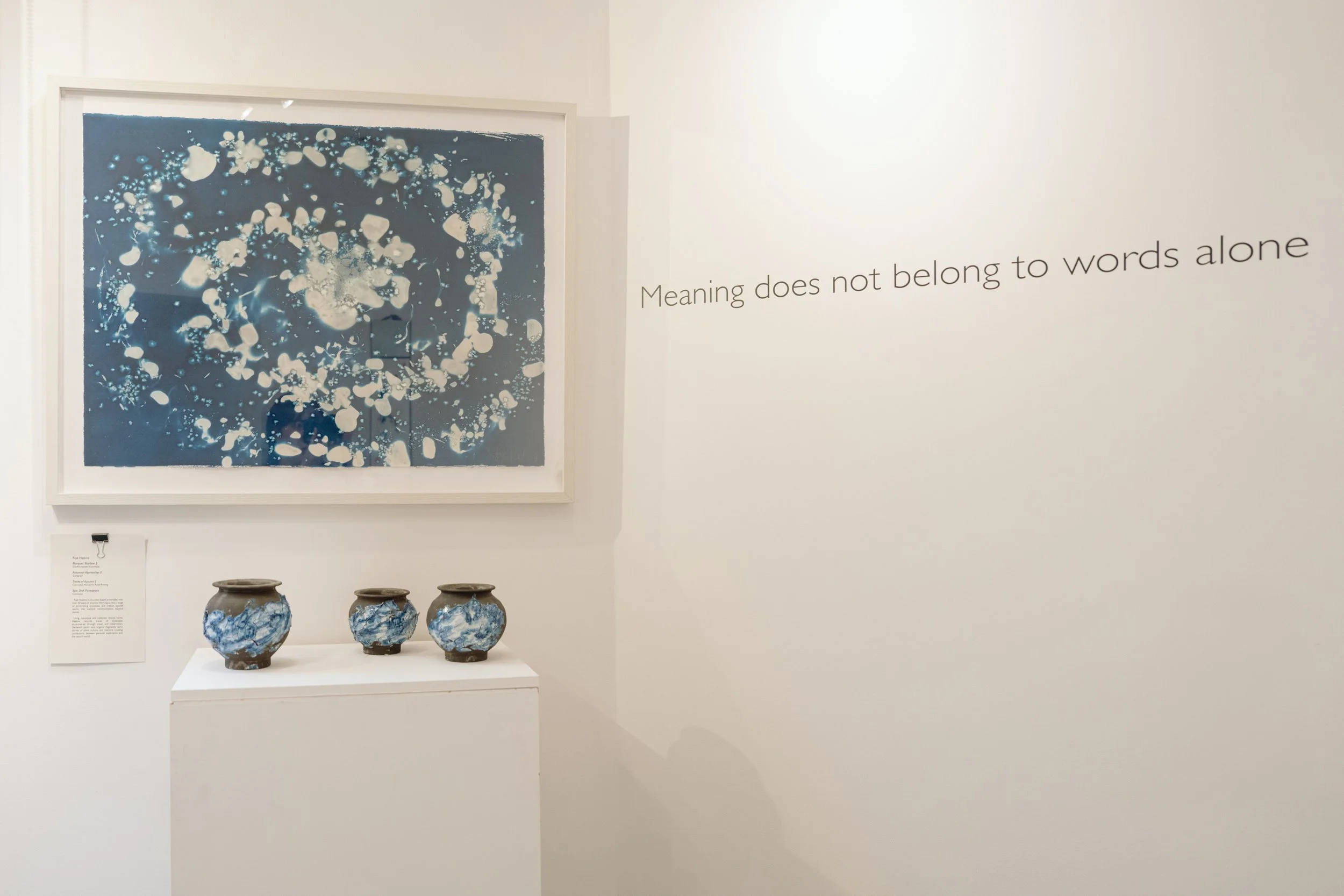 15. Artists & Works_Faye2.jpg