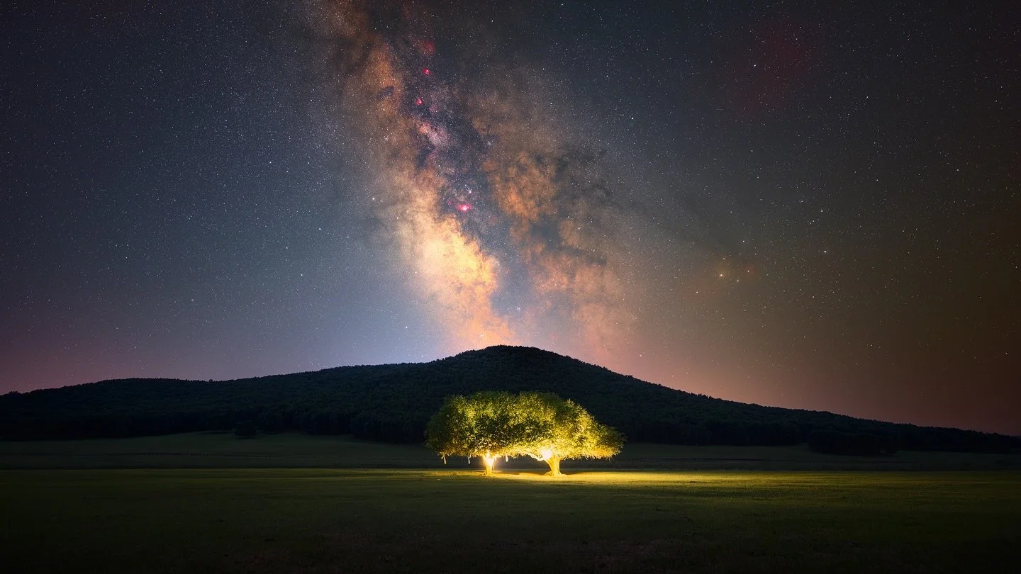 Pig tree and Milky Way in ᠤᠯᠠᠭᠠᠨ ᠪᠤᠲᠤᠩ inner Mongolia, China.
