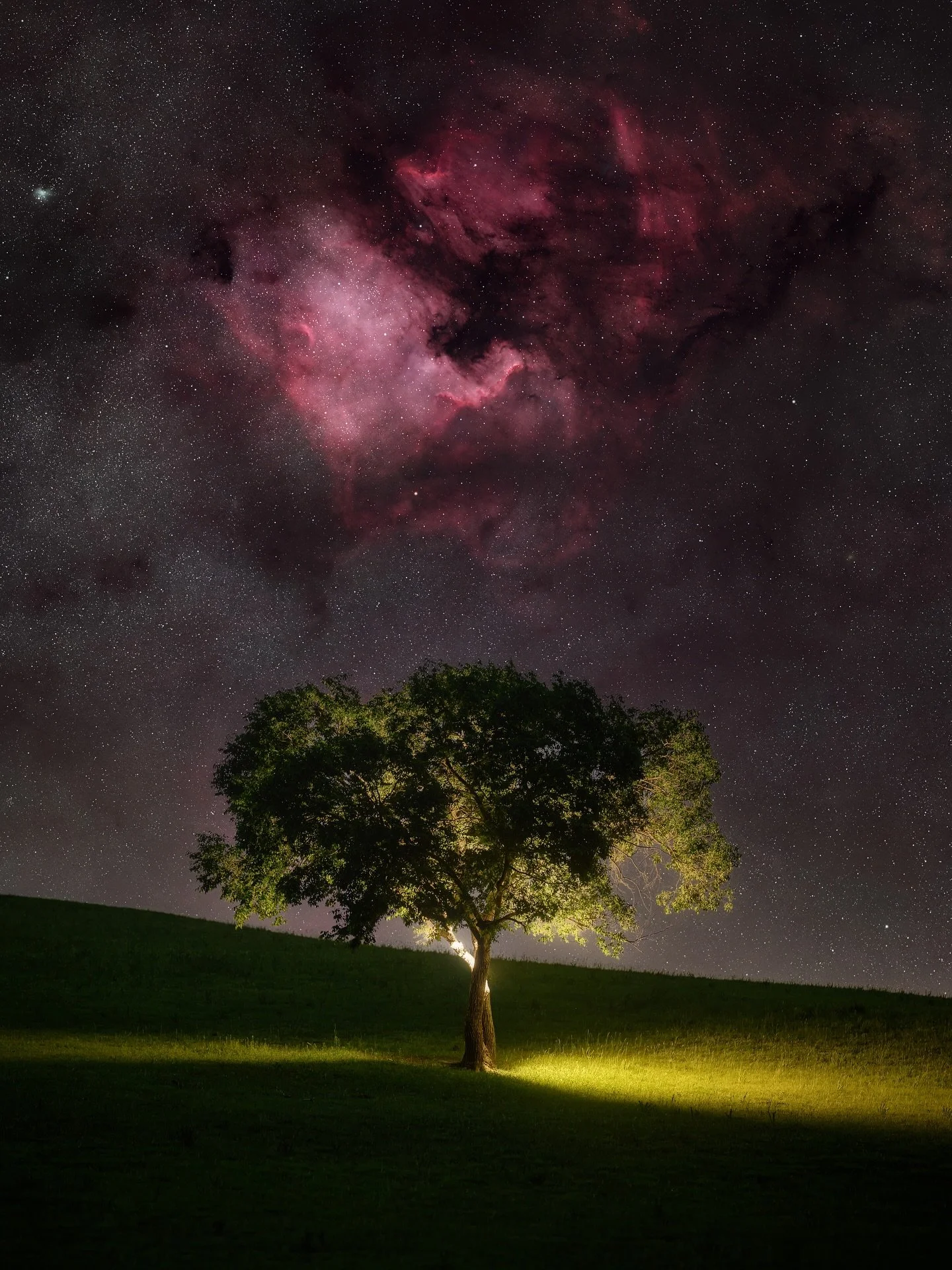 North America Nebula