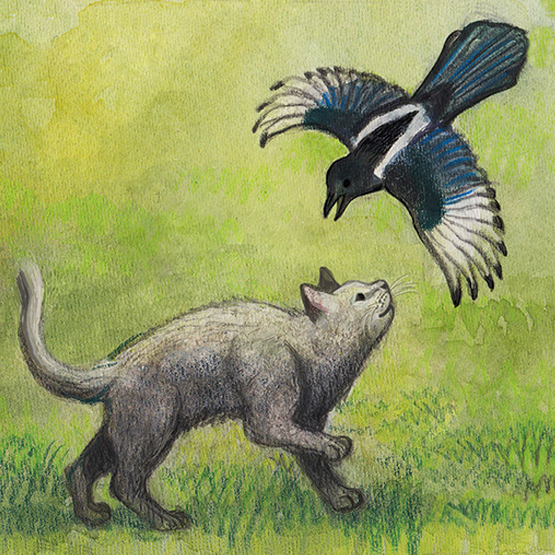 Milo and the Magpies