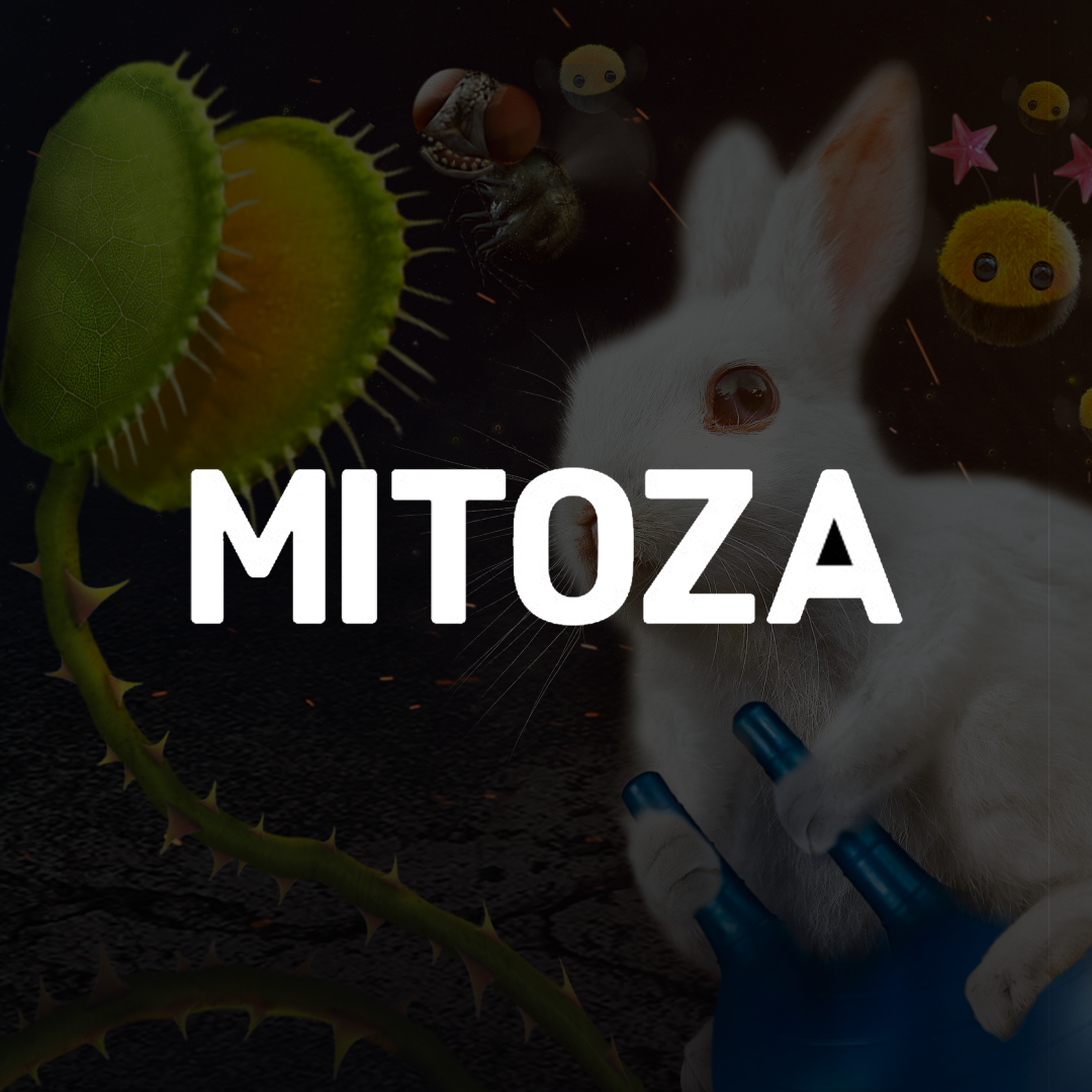 Mitoza