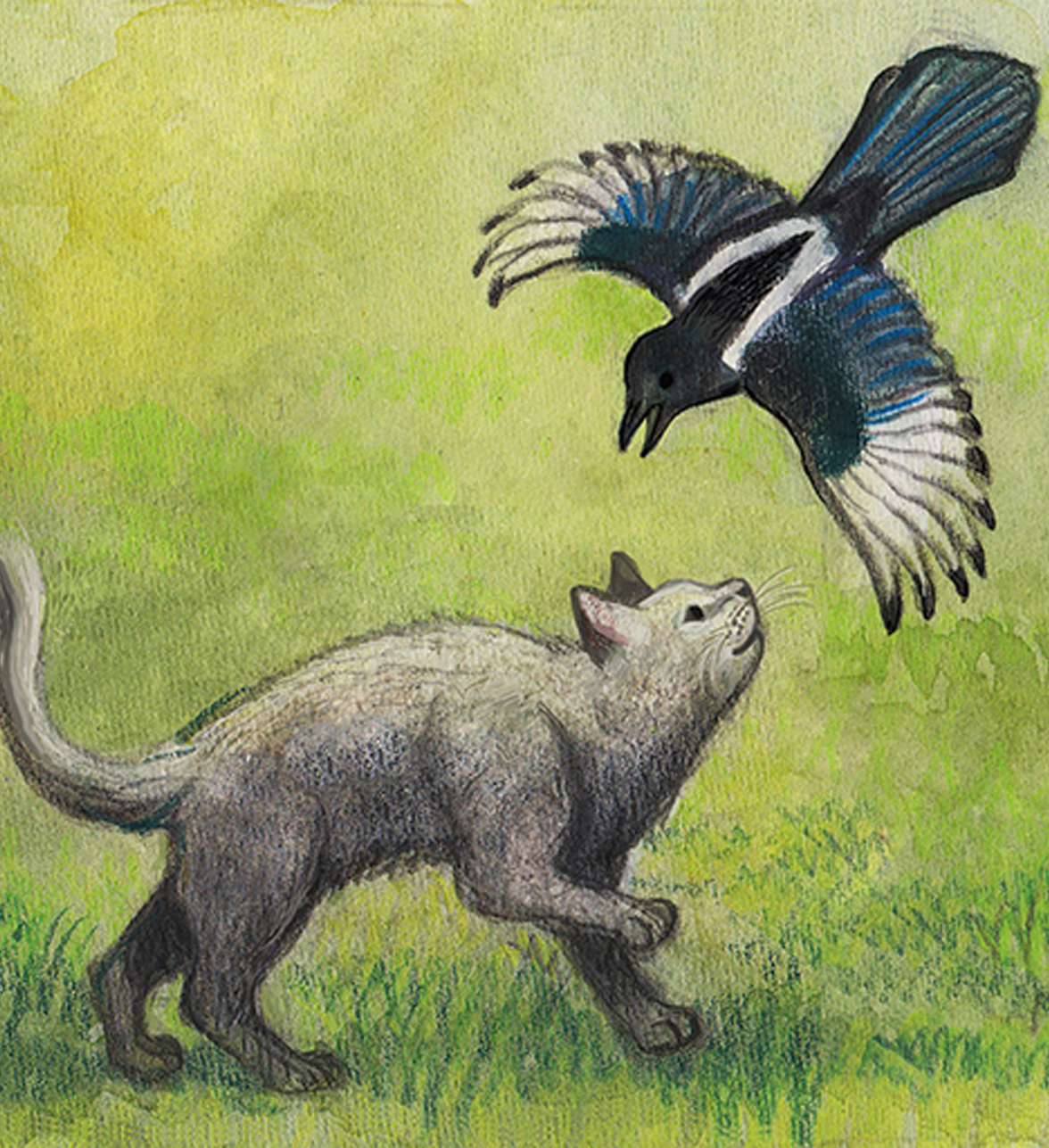 Milo and the Magpies