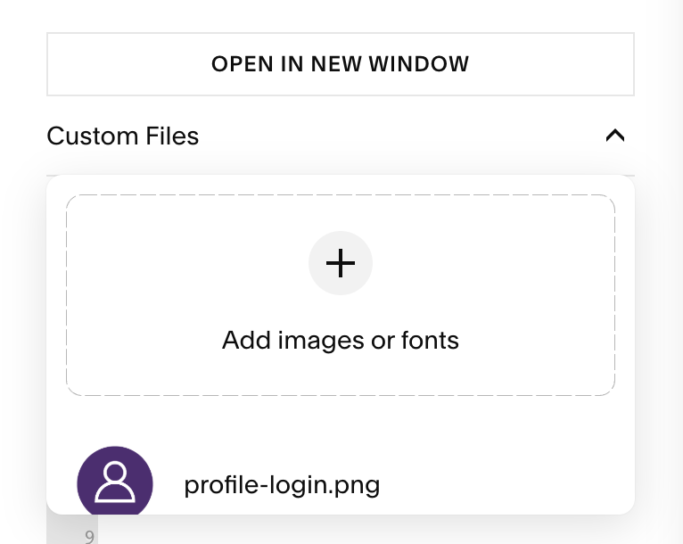 custom css example of an image uploaded to Squarespace