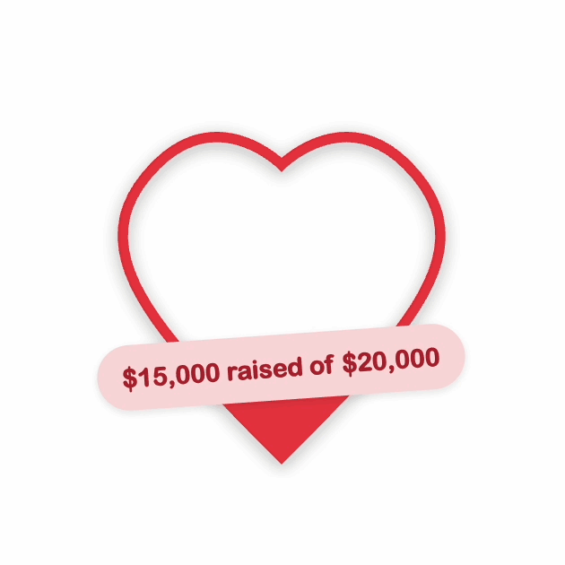 preview of fundraiser tracking plugin for charities