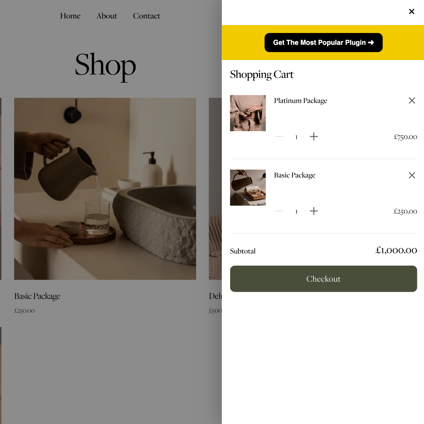 squarespace-shopping-cart-slider-plugin-preview-Shot 3.png