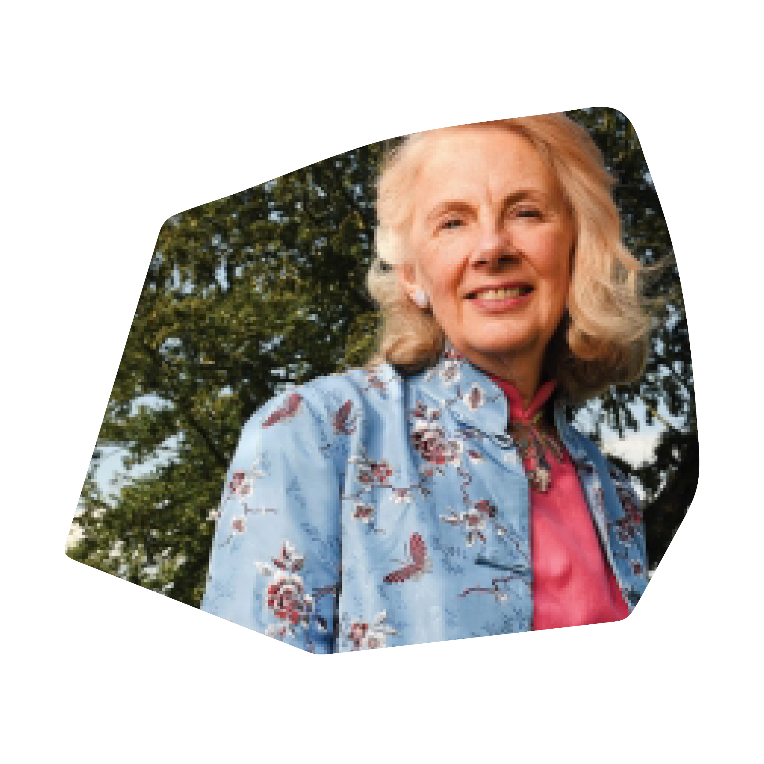 Belonging: the role of professional and stakeholder partnerships — Professor Philippa Cordingley