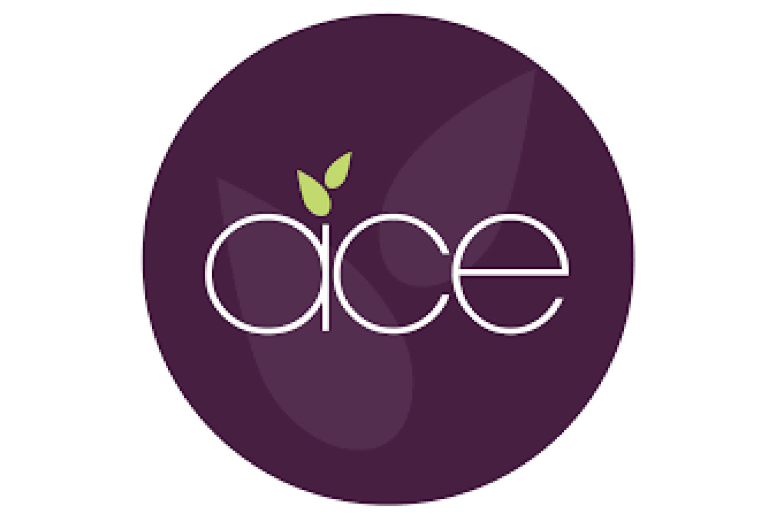 Learning Exchange Visit: Academies For Character And Excellence