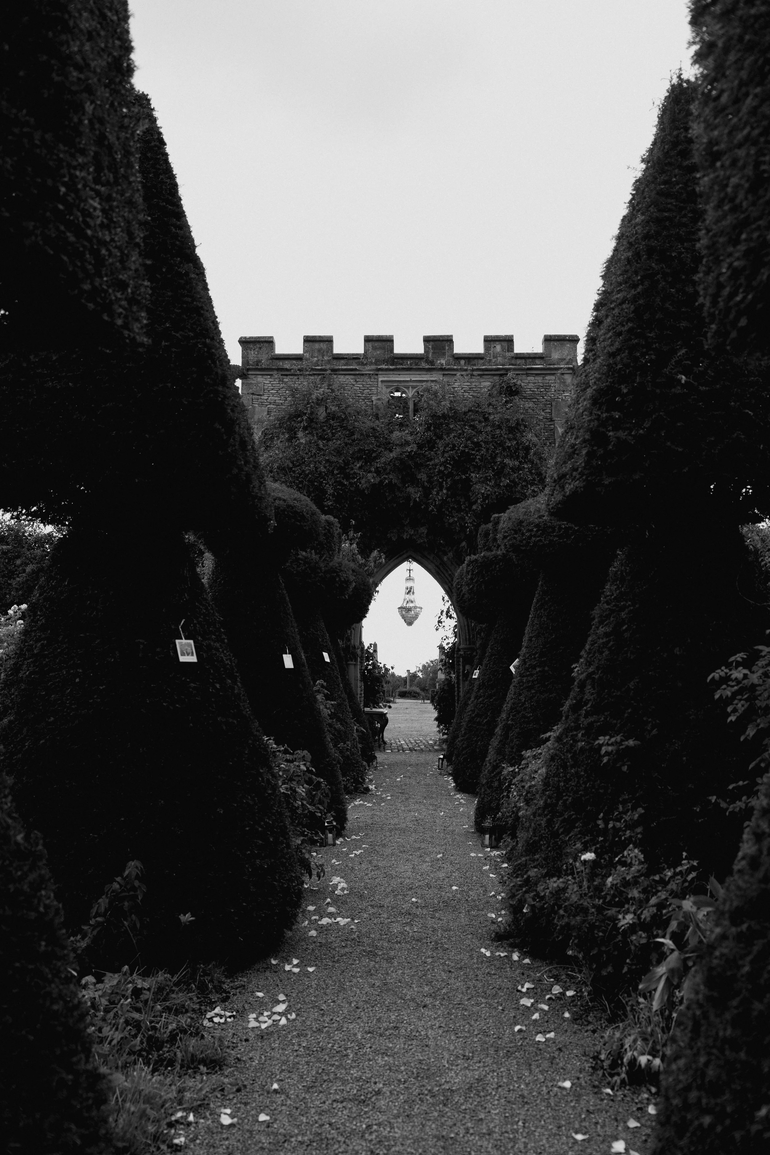 Harry & Abbey Proposal Setup-17.jpg
