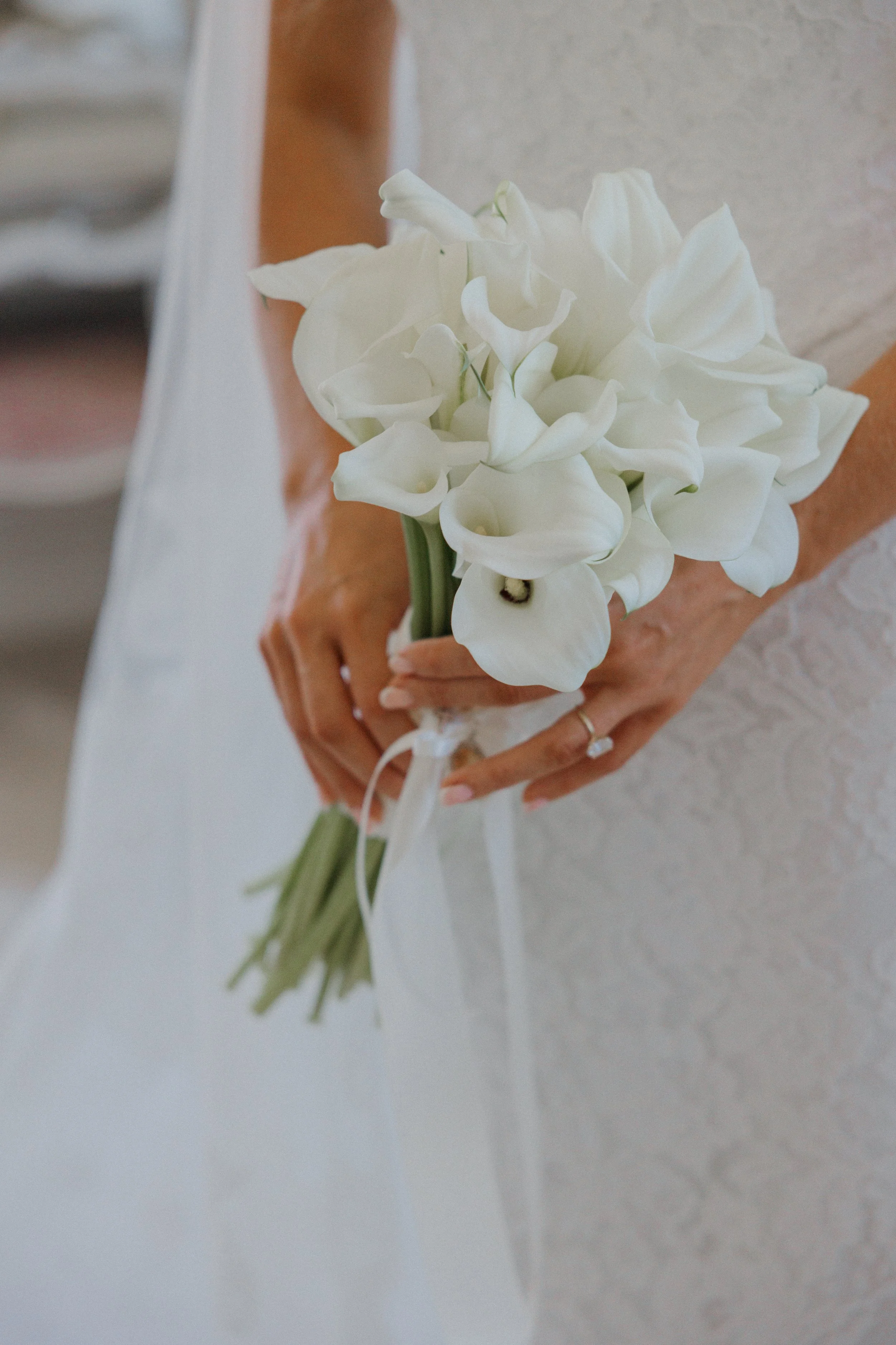 Abbie & Ted Previews-15.jpg
