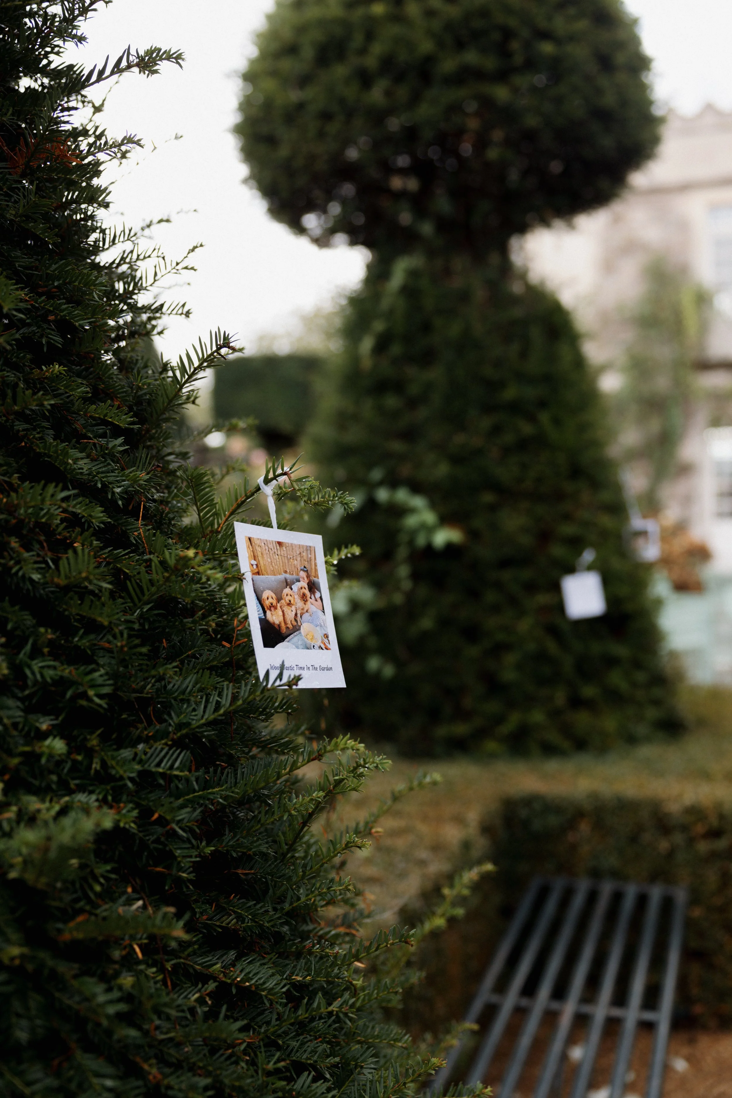 Harry & Abbey Proposal Setup-15.jpg