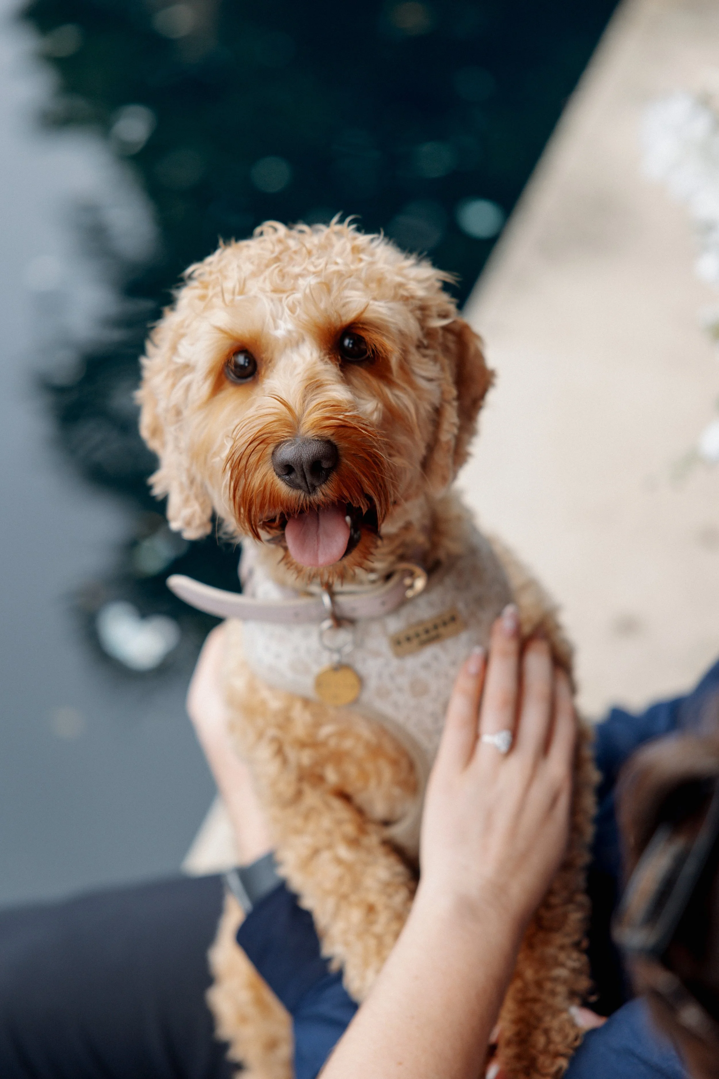 Abbey & Harry Portraits-71.jpg