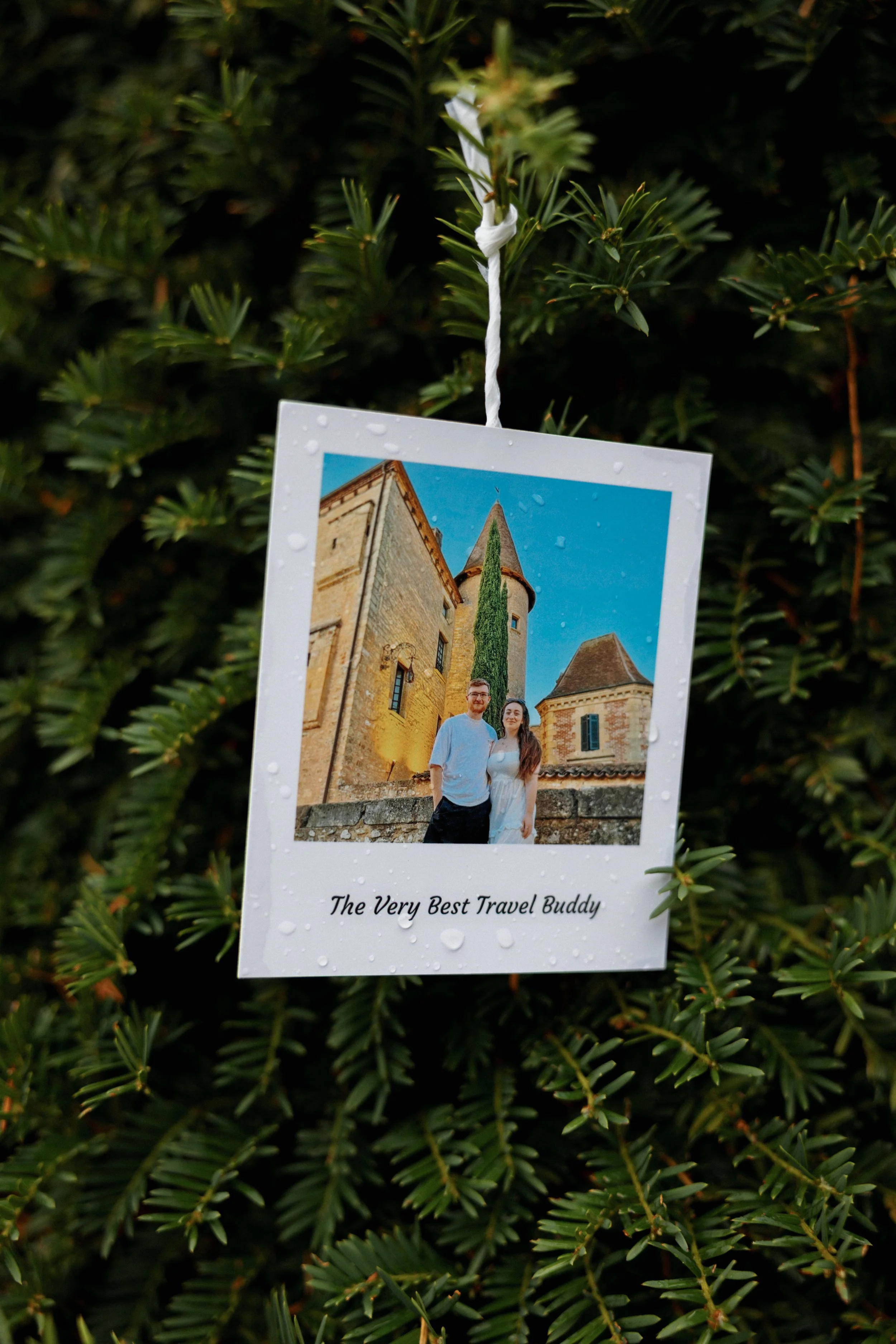 Harry & Abbey Proposal Setup-14.jpg