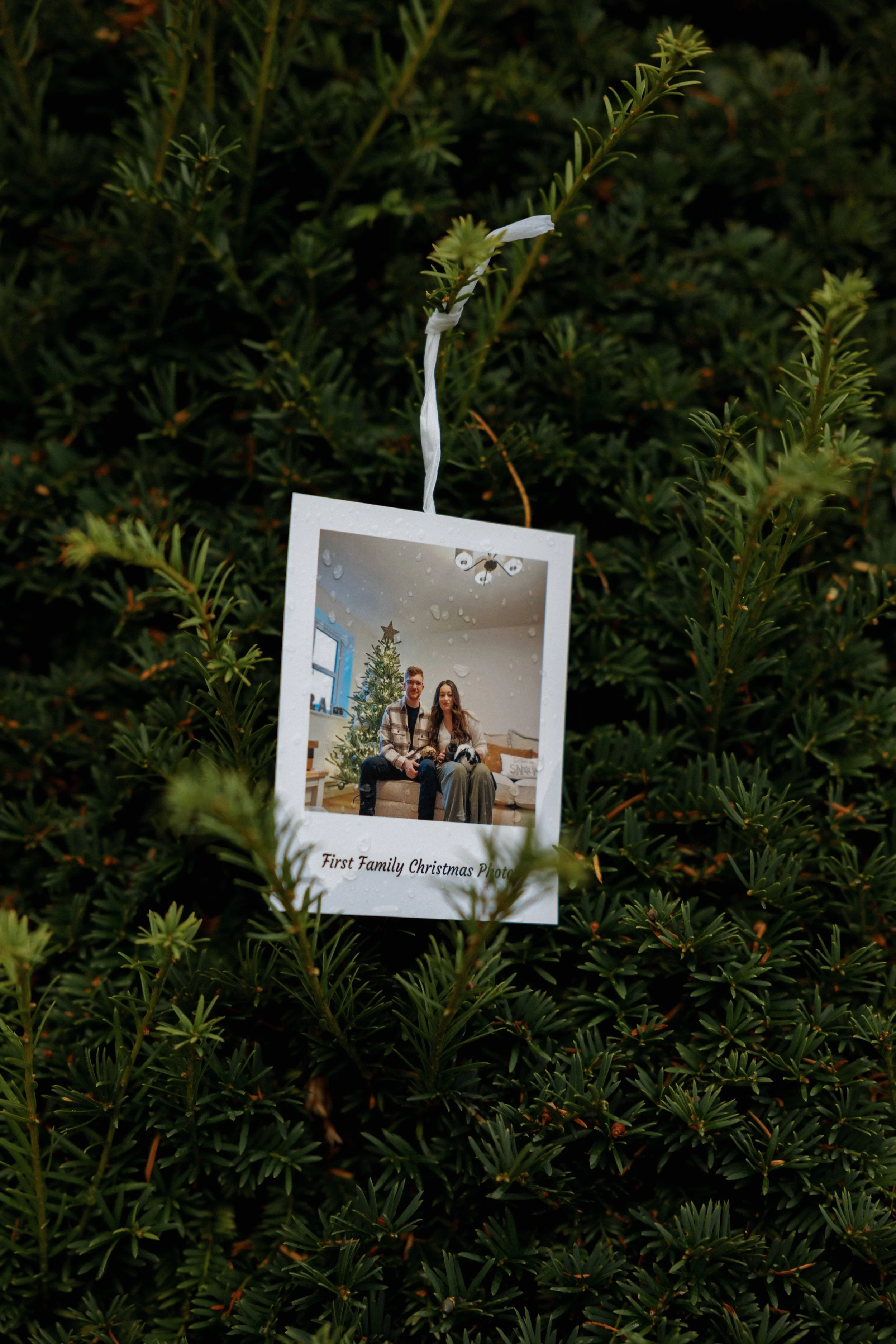 Harry & Abbey Proposal Setup-13.jpg