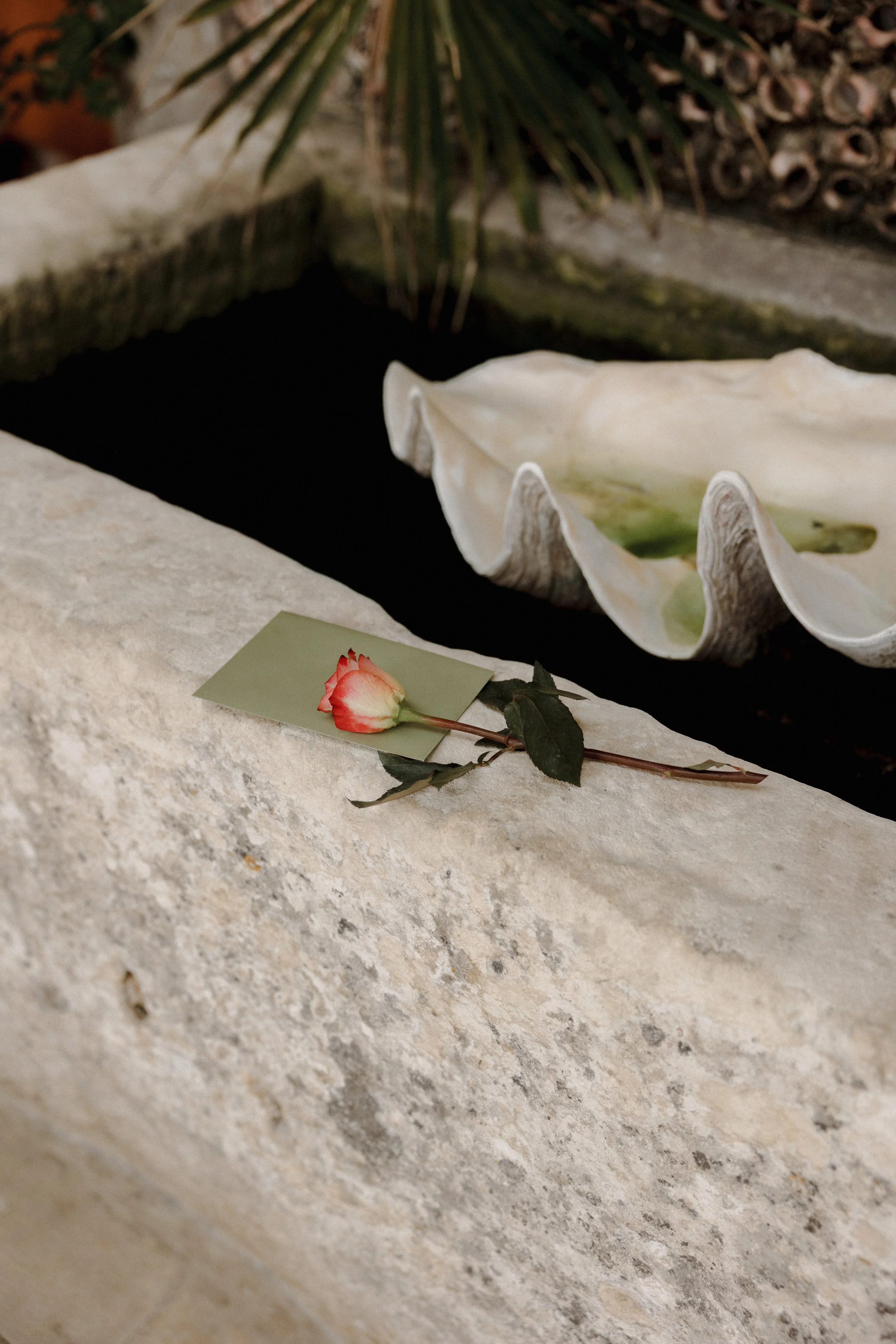 Harry & Abbey Proposal Setup-1.jpg