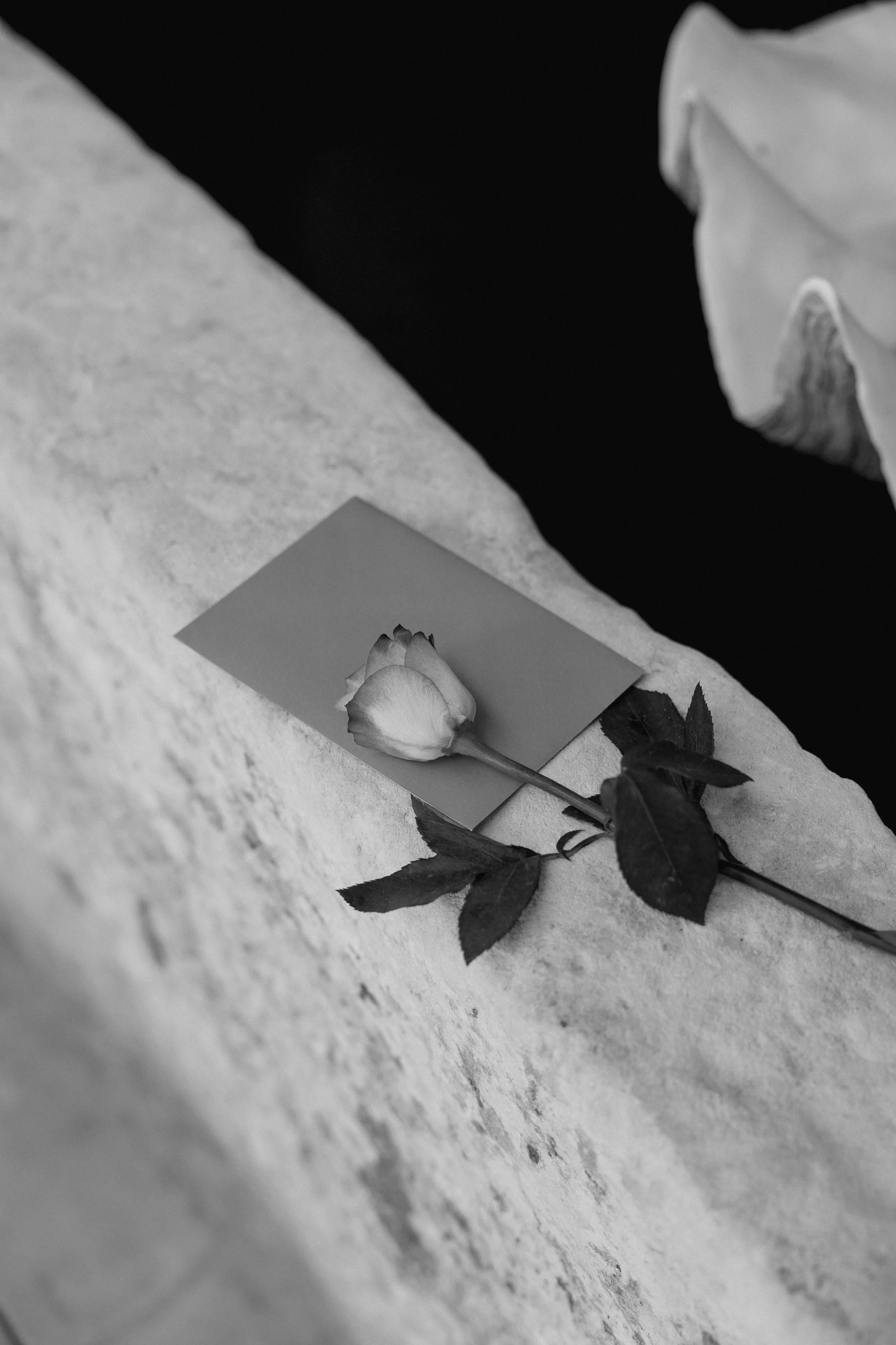 Harry & Abbey Proposal Setup.jpg