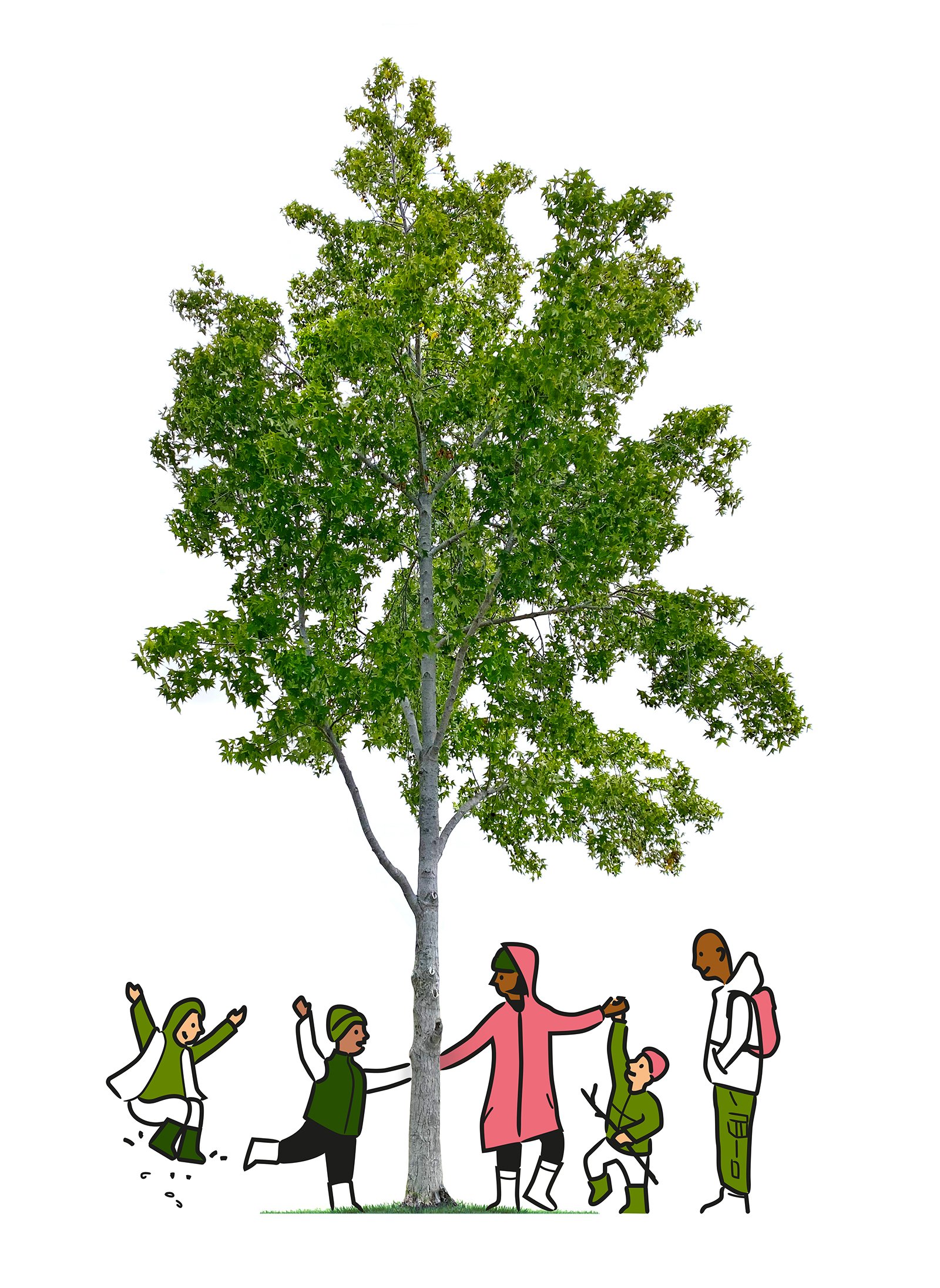 The Guardian - Tree.jpg