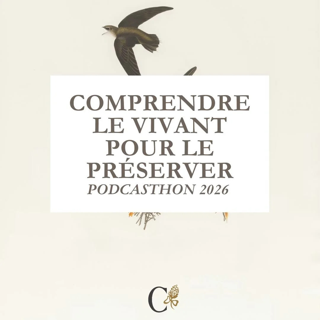 Cette semaine, avec "Parlons Symboles" je participe au Podcasthon 2026 ! 

Du 14 au 20 mars, des milliers de podcasteurs &agrave; travers le monde consacrent un &eacute;pisode de leur &eacute;mission &agrave; une association caritative.

L&