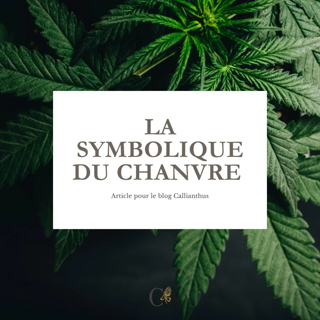 Et si le myst&egrave;re du chanvre ne venait pas de ce qu&rsquo;il est&hellip; mais de ce qu&rsquo;il r&eacute;v&egrave;le de nous ?

Le chanvre est une plante profond&eacute;ment ambivalente, presque insaisissable dans notre imaginaire collectif. Pe