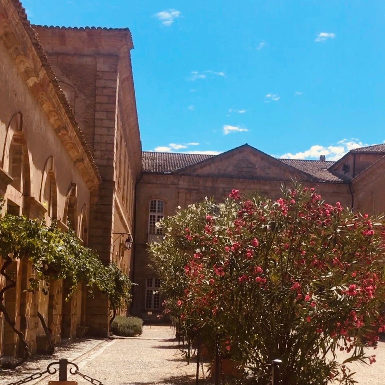 Ma visite à l’abbaye de Lagrasse, pop culture et spiritualité ?