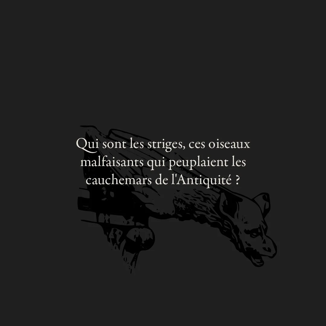 2_mythes-en-fete_halloween_striges.jpg