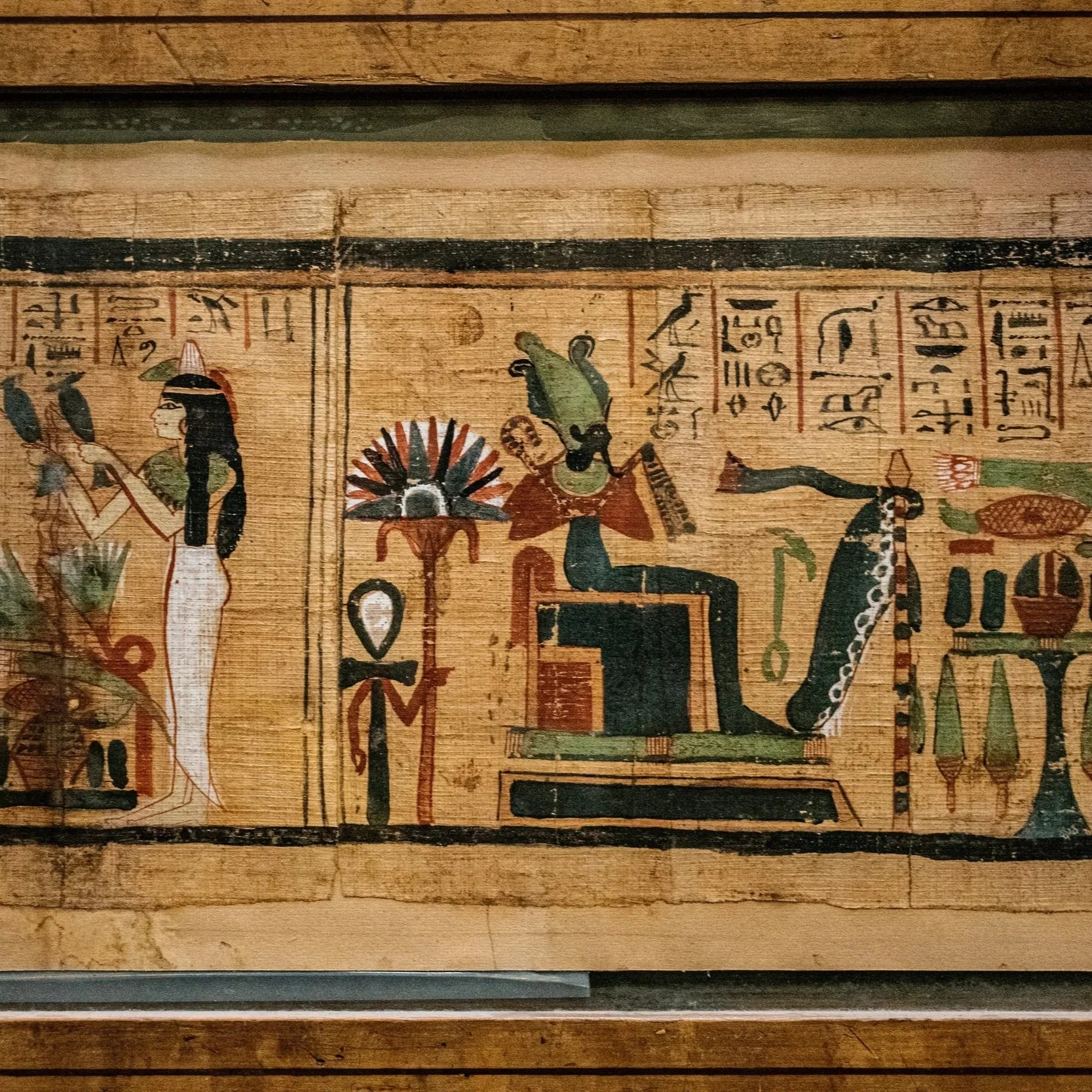 Quelle symbolique des plantes au temps des pharaons ? Un détour par la botanique égyptienne