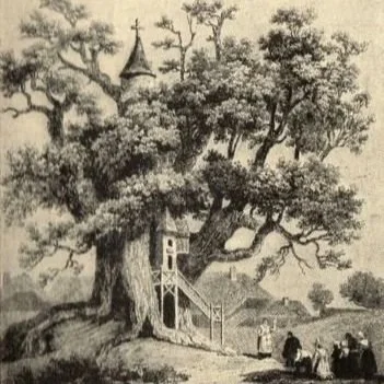 Une chapelle dans un tronc d’arbre ? Quand la nature se fait symbole