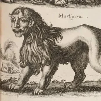 Lion ou scorpion ? Non ce n’est pas le zodiaque, mais la manticore…