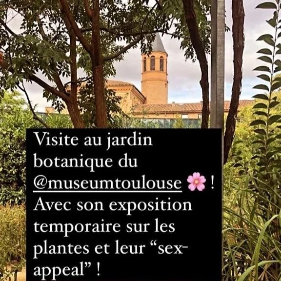 Toulouse : entre balade botanique et bijou d’art roman ! 