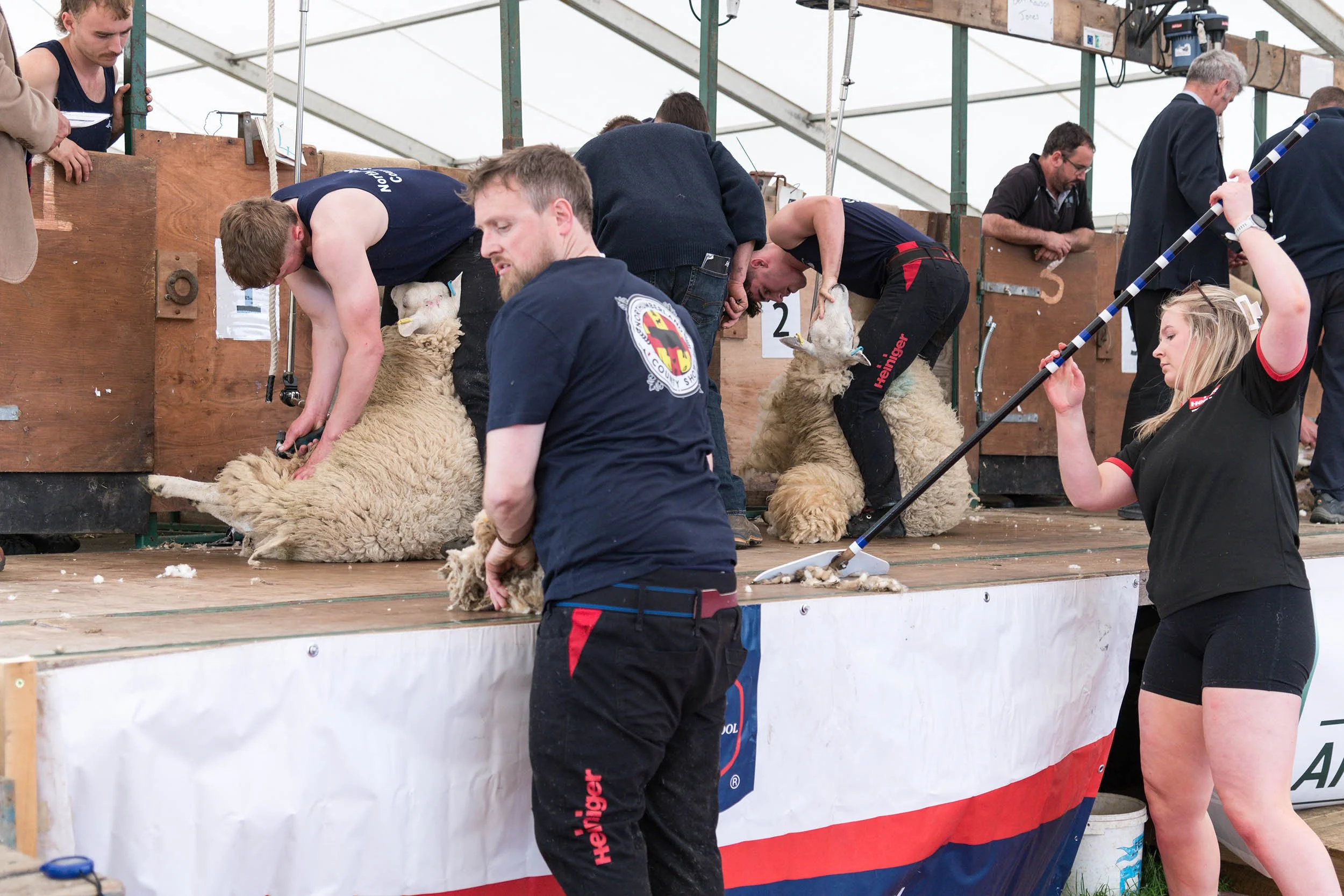 Northumberland County Show