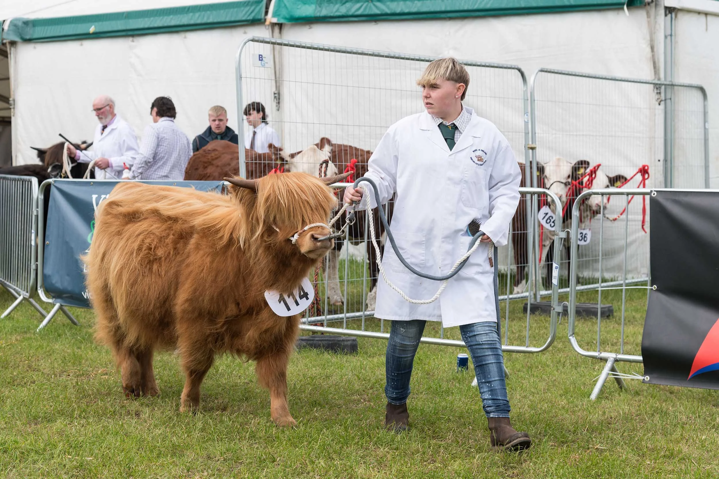 Northumberland County Show