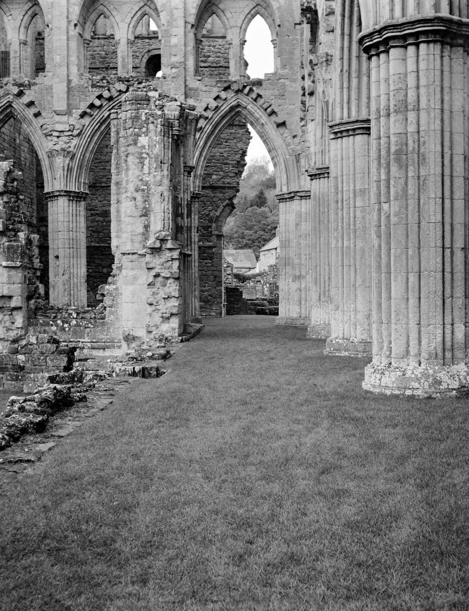 Rievaulx Abbey
