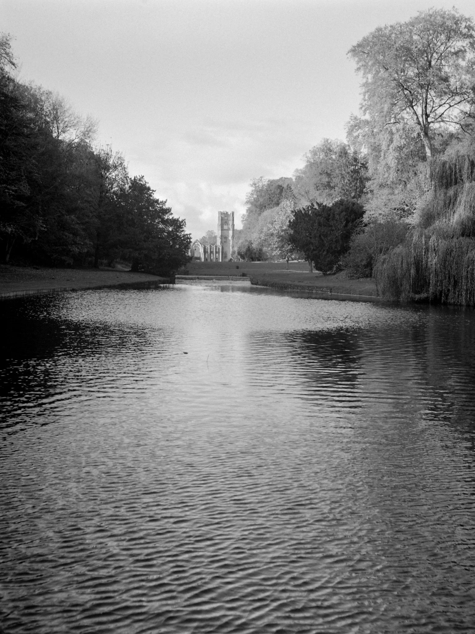 Fountains Abbey
