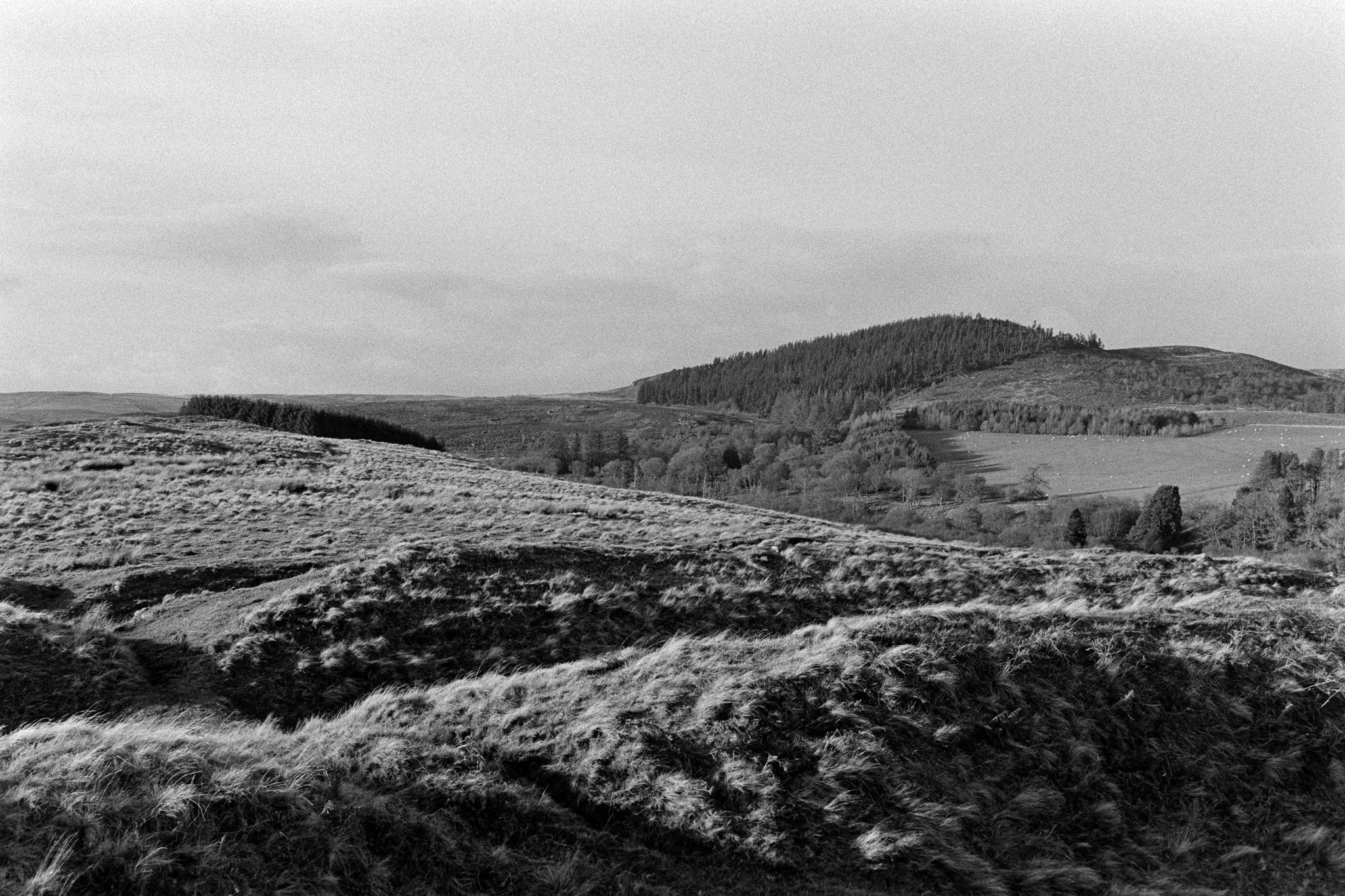 From Harehaugh Hillfort