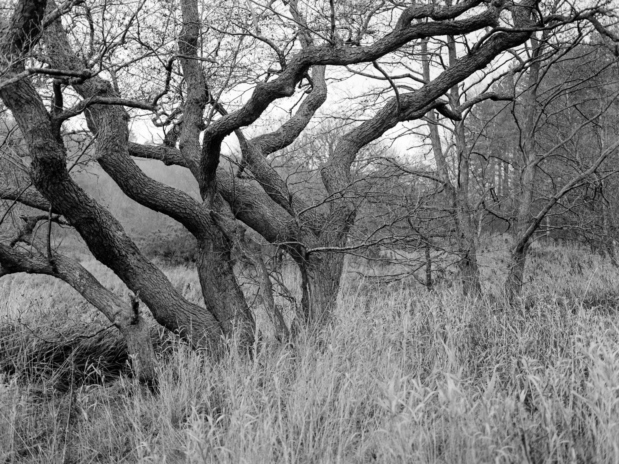 Beside The River Derwent