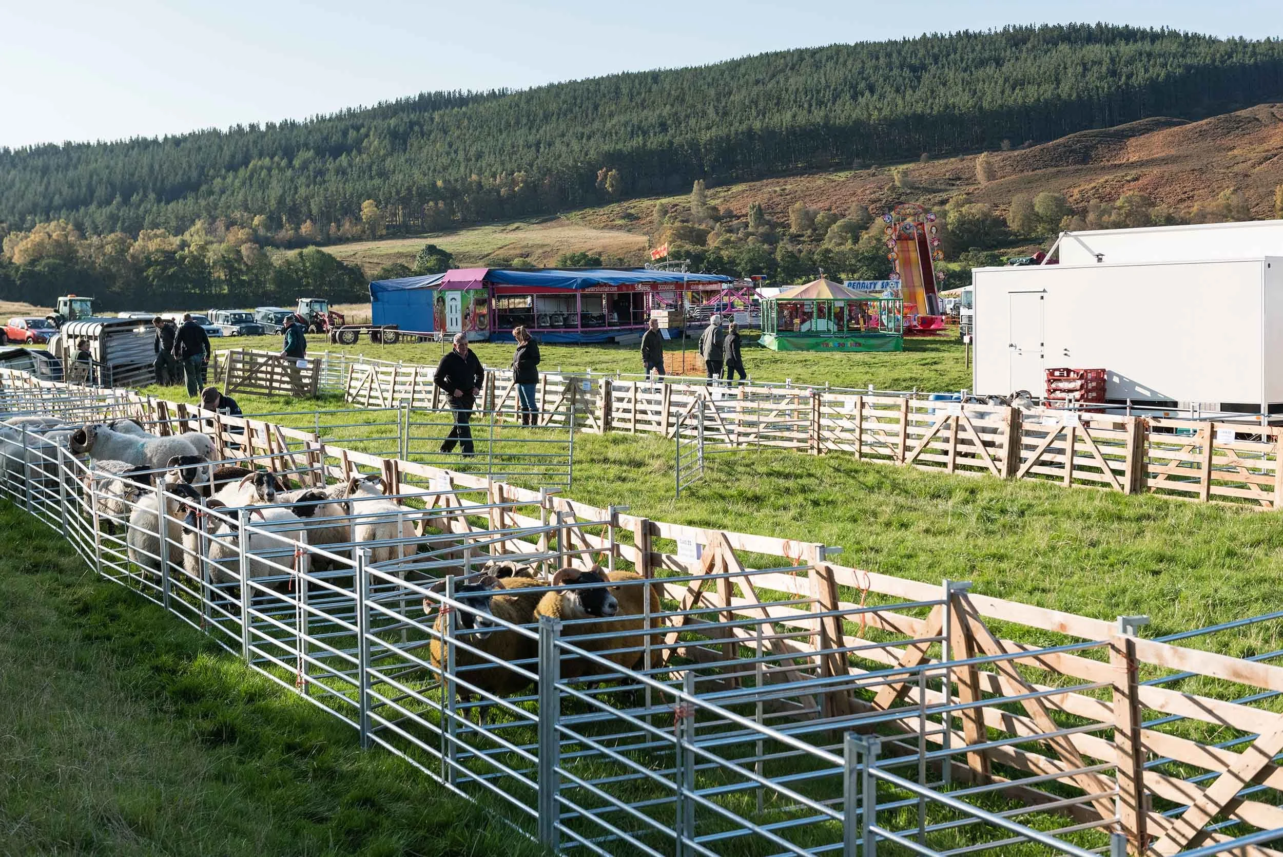 Alwinton Show