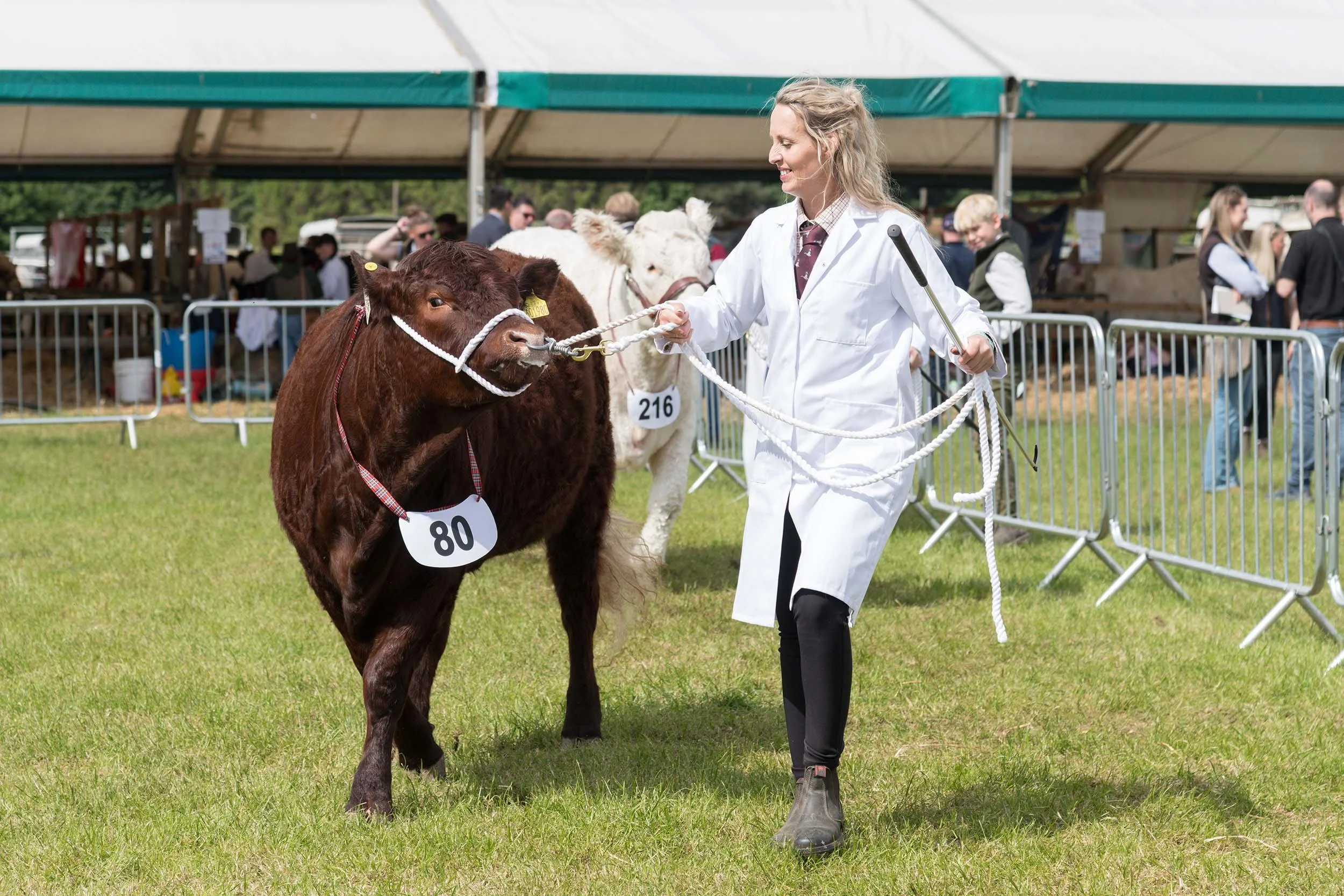 Northumberland County Show