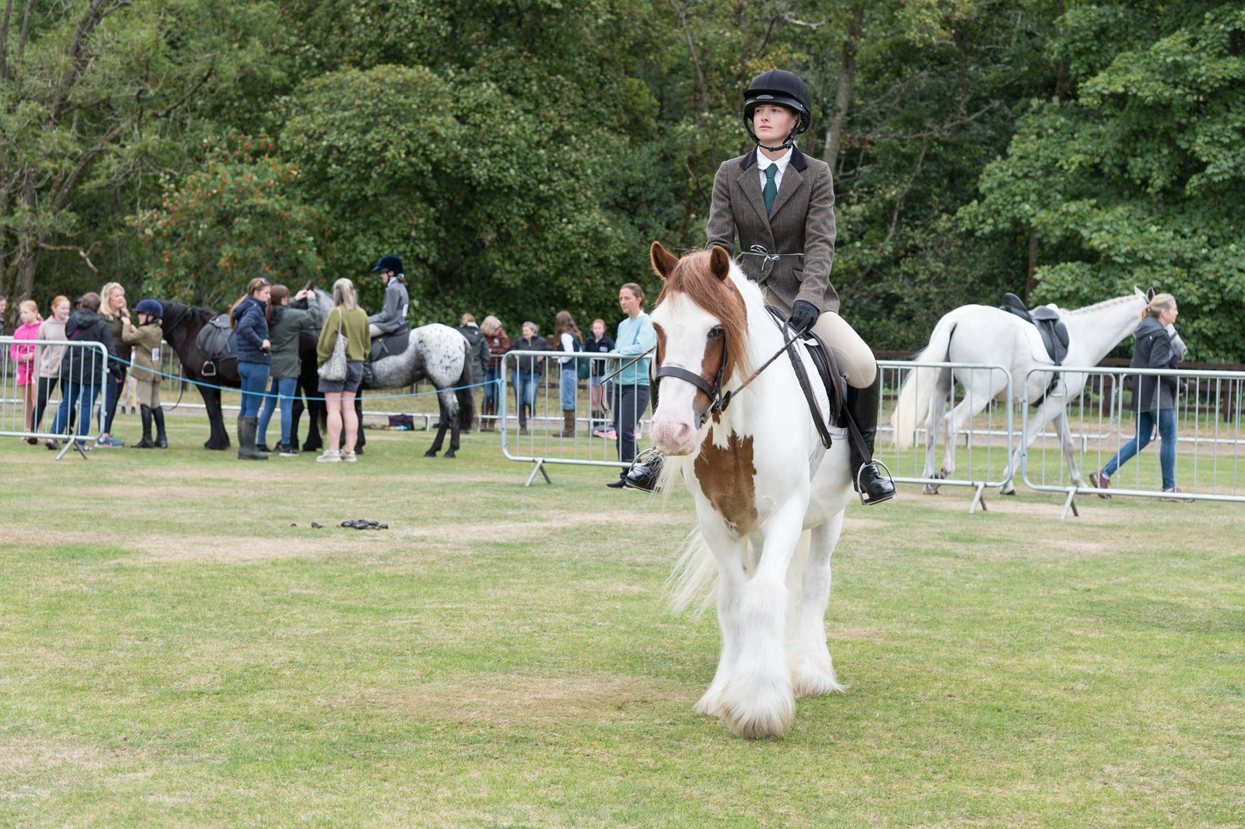 Allendale-Agricultural-Show 0231.jpg