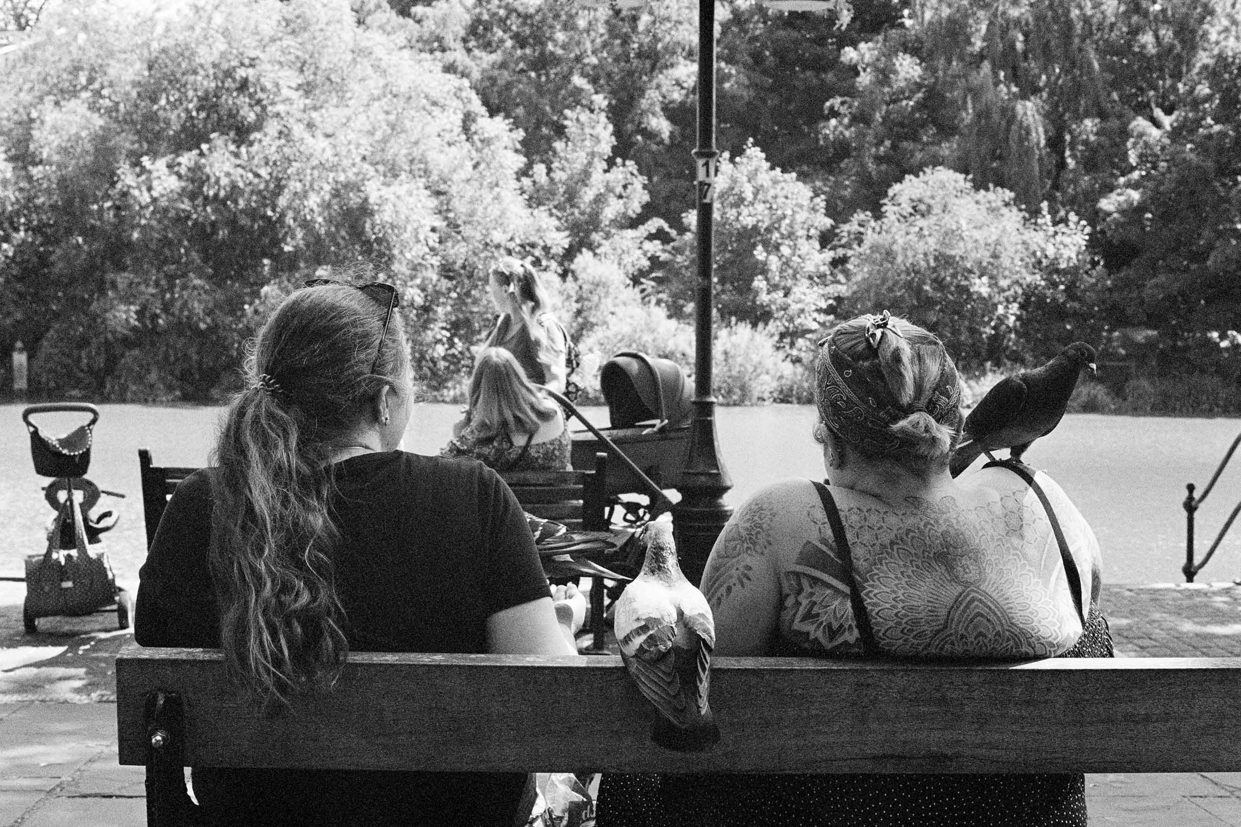 Feed The Birds - 35mm