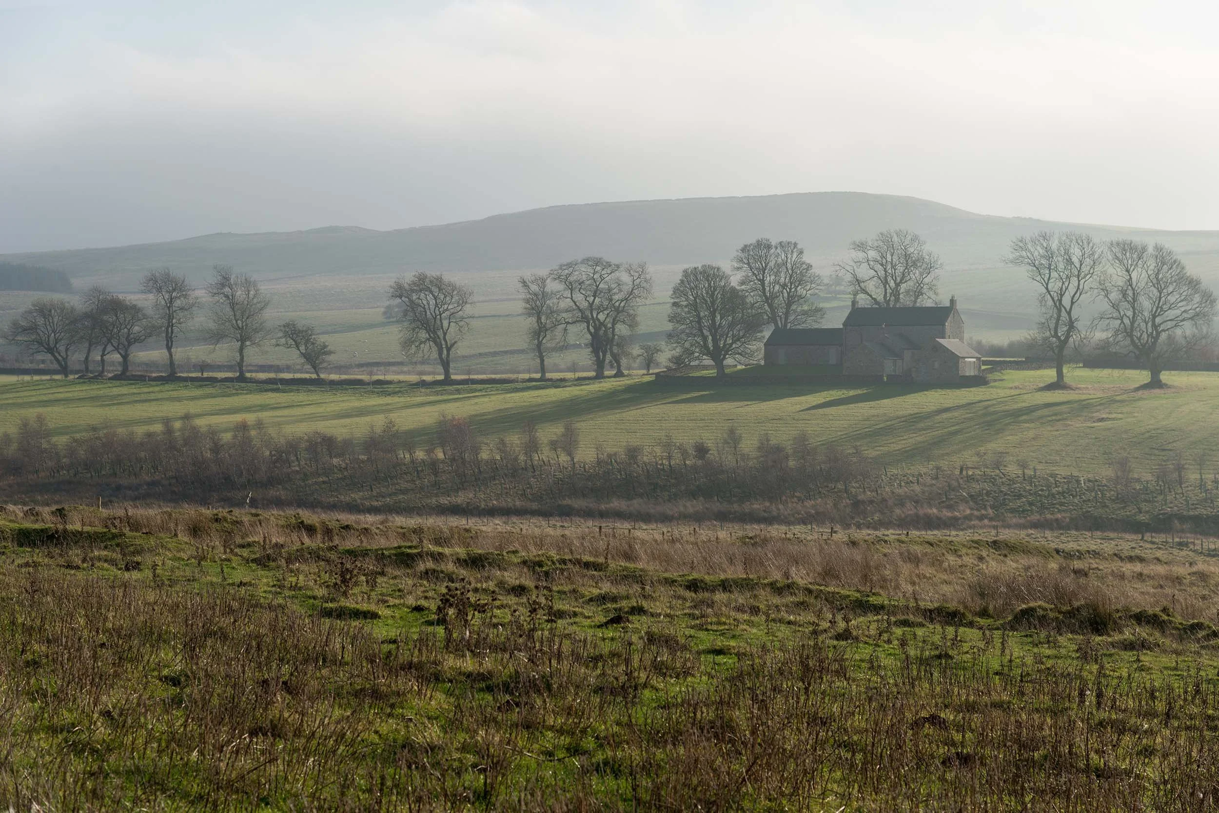 An image of The Haining near Elsdon in Northumberland. Looking across the Elsdon Burn on a bright and sunny winters day with a misty background and long shadows from the trees and house.  on
