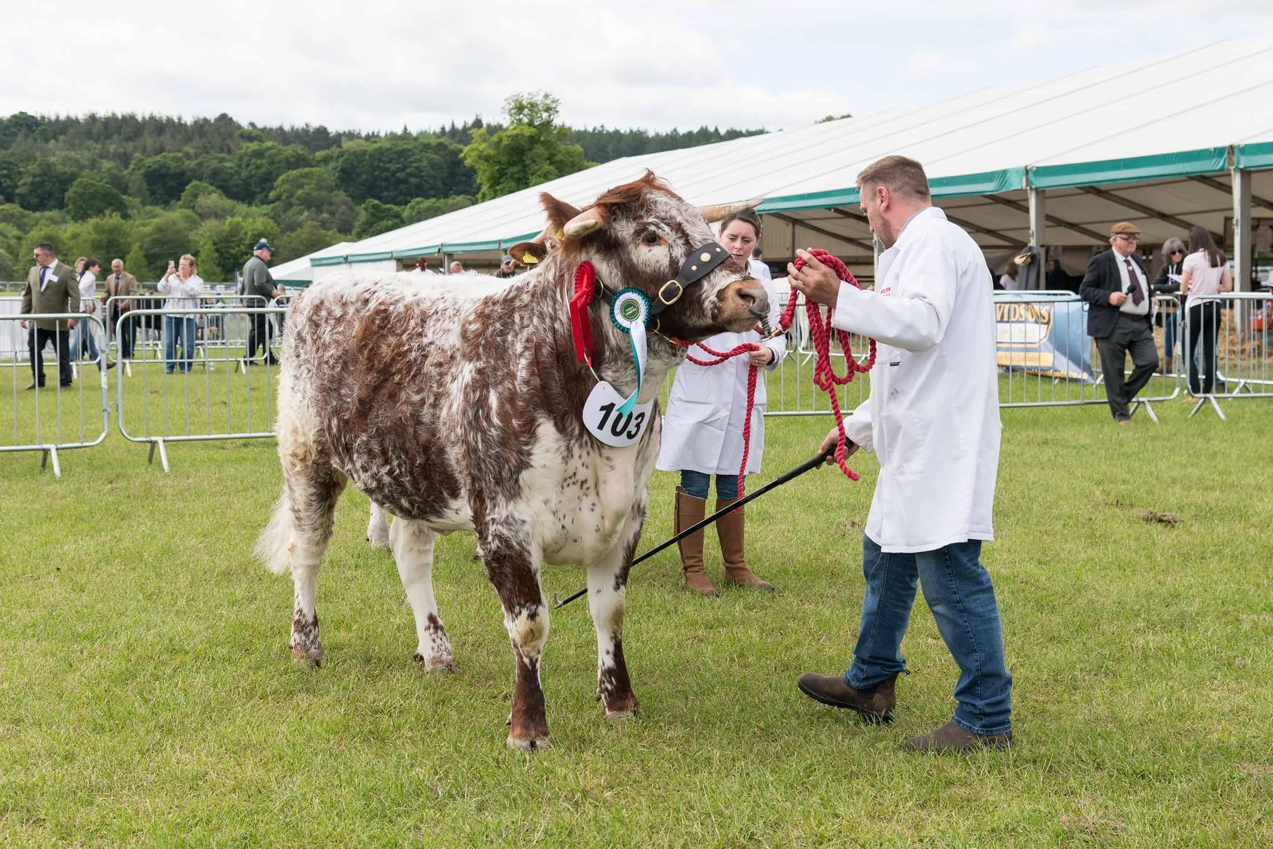Northumberland County Show