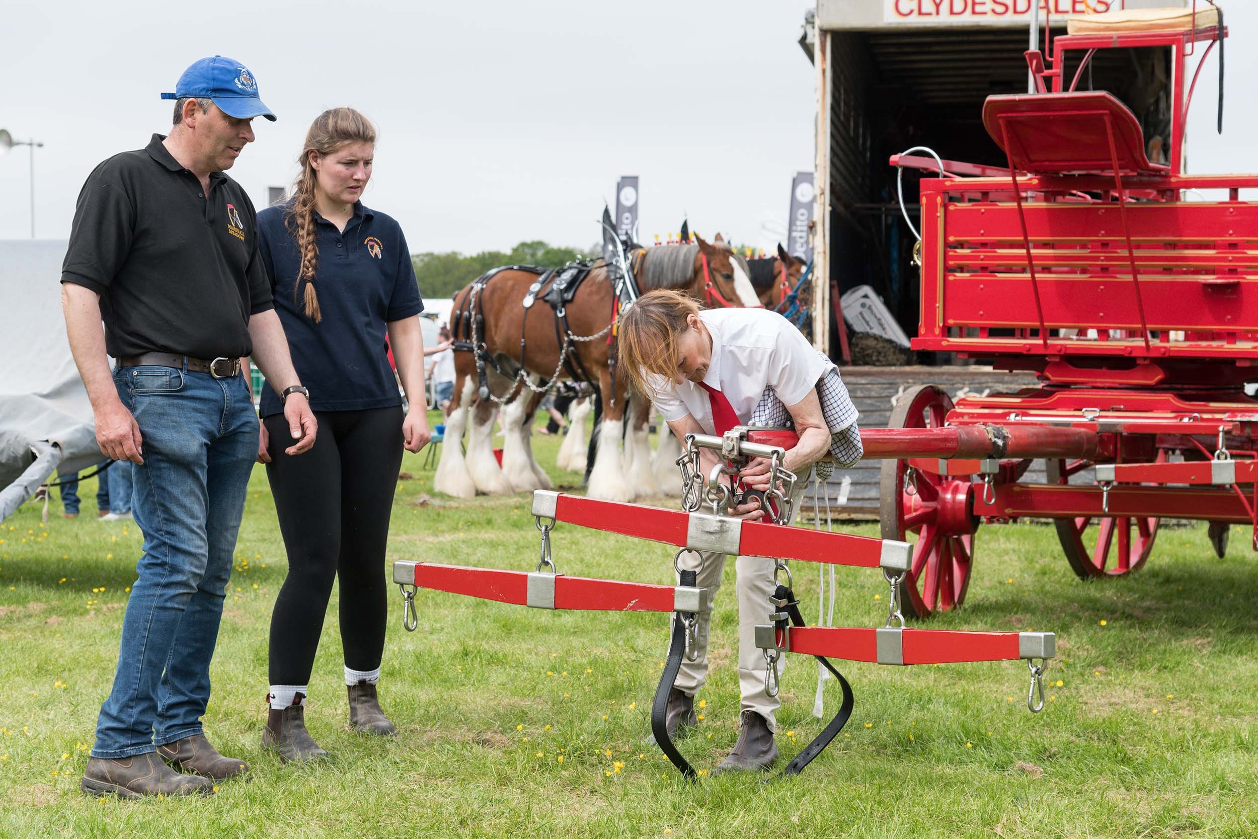 Northumberland County Show