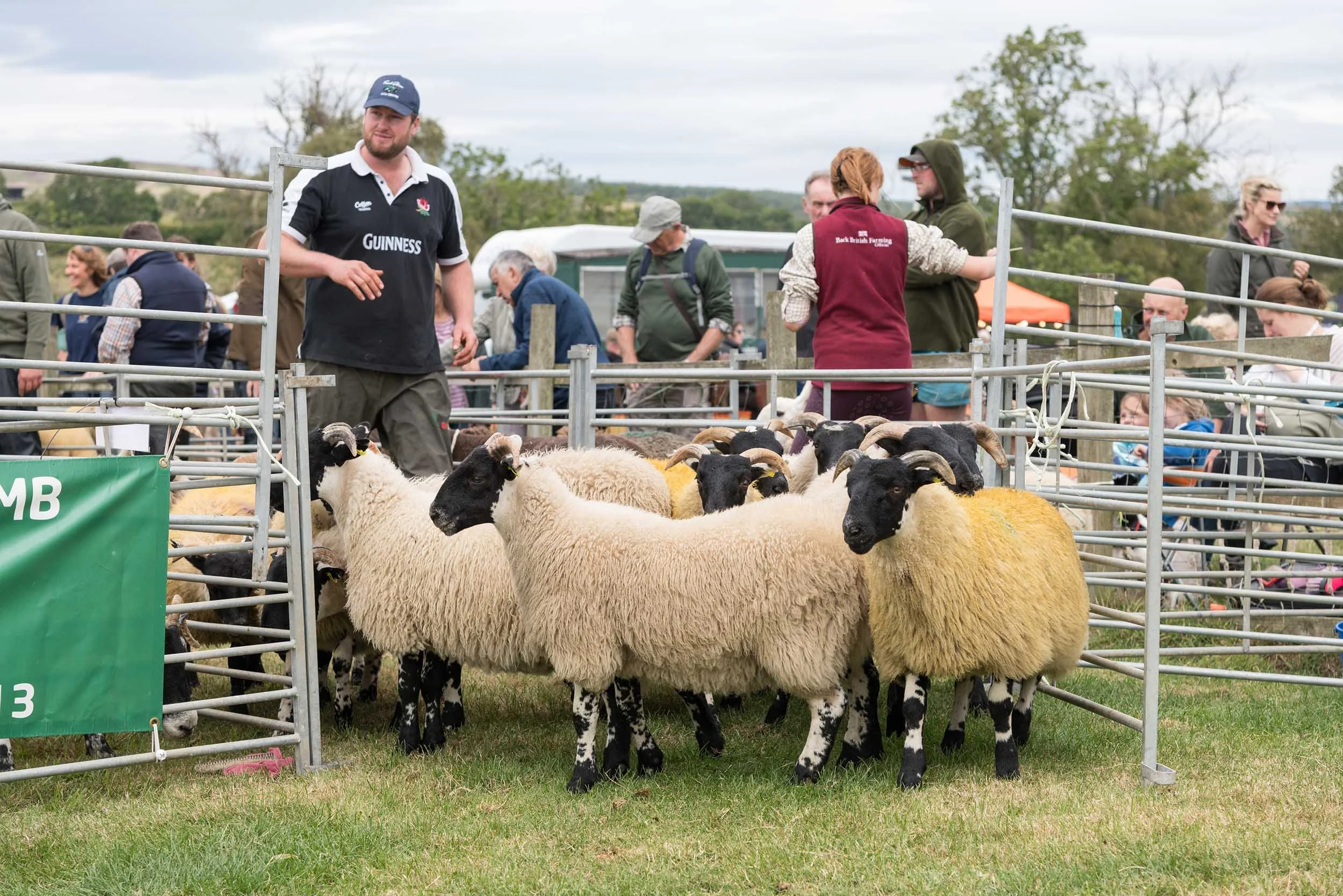 Simonside-Country-Fair 1184.jpg