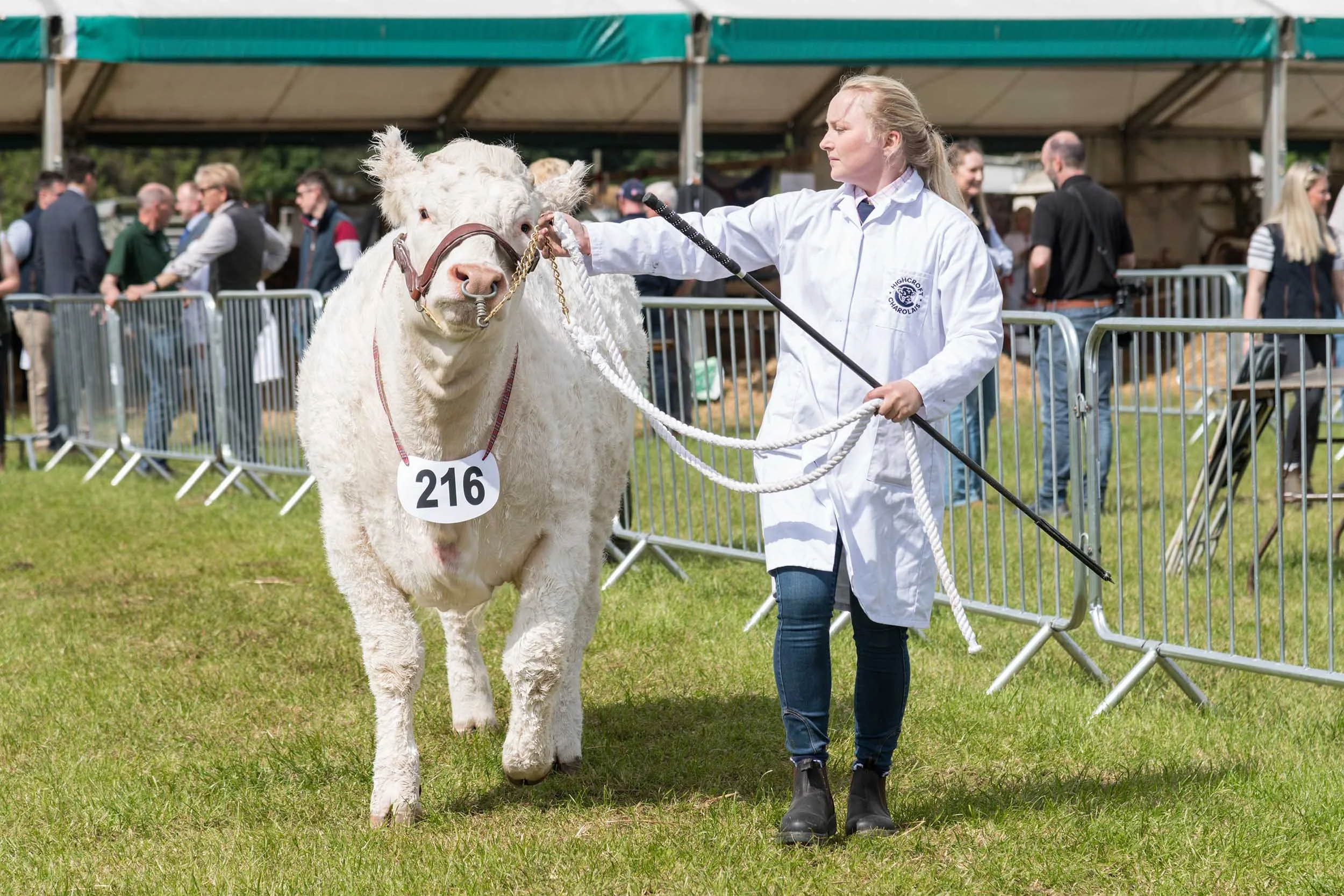 Northumberland County Show