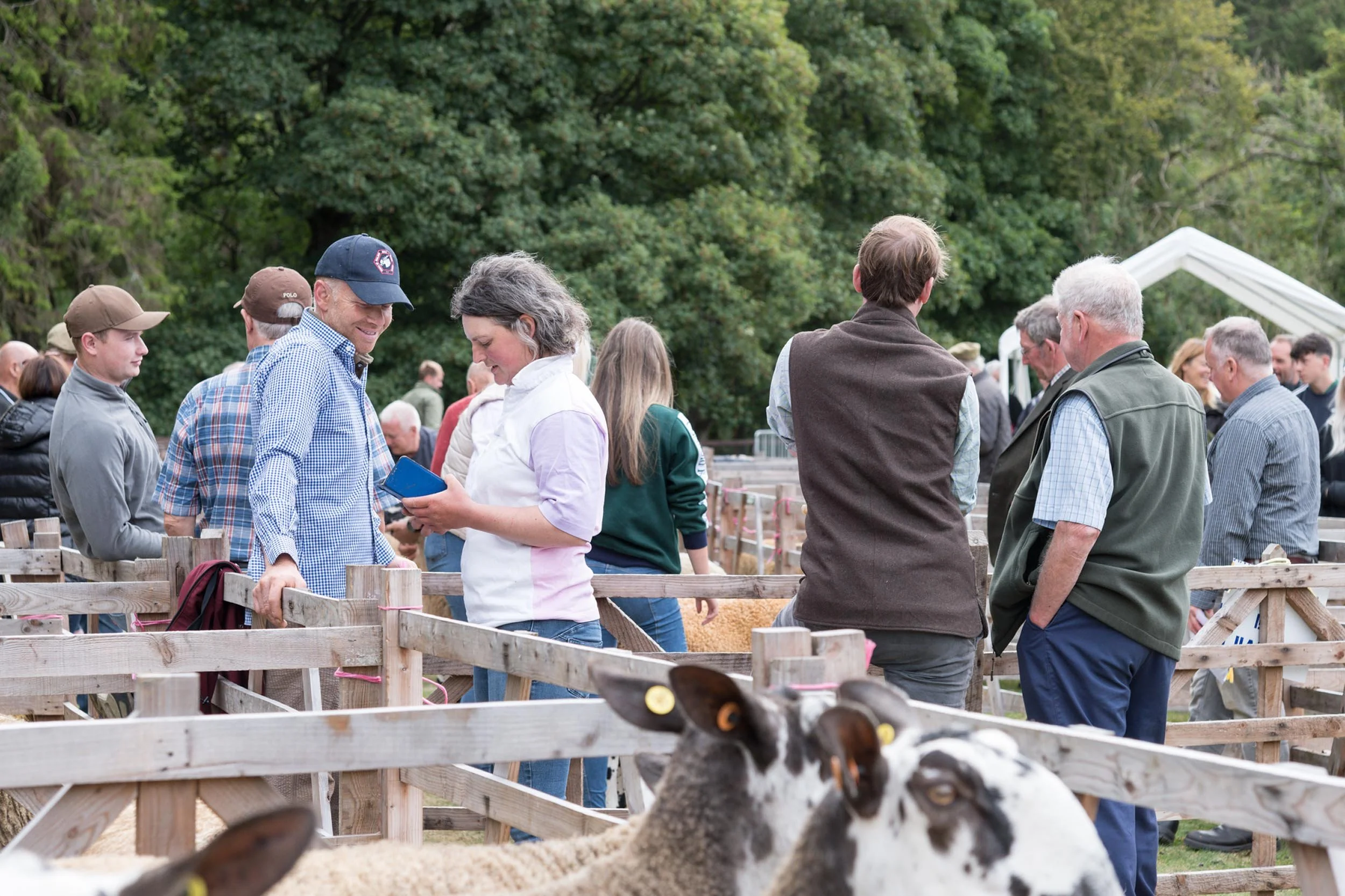 Allendale-Agricultural-Show 0212.jpg